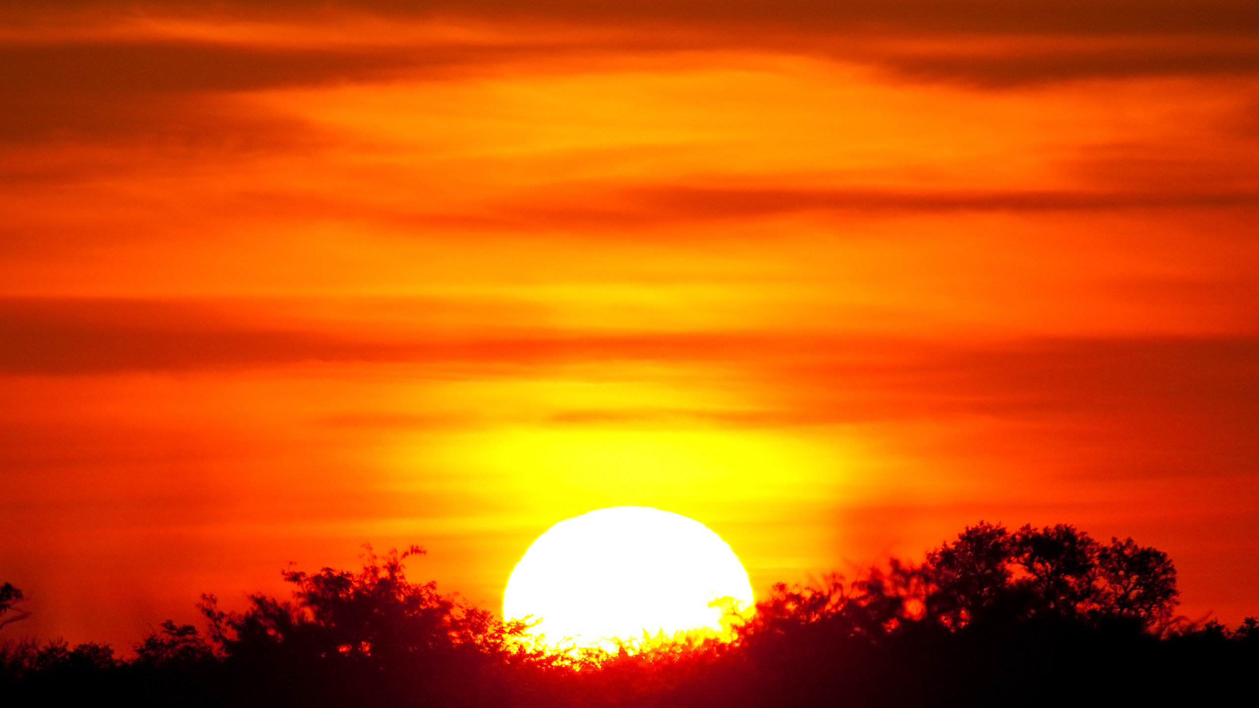 2560x1440 African Sunset | African Sunset Wallpaper