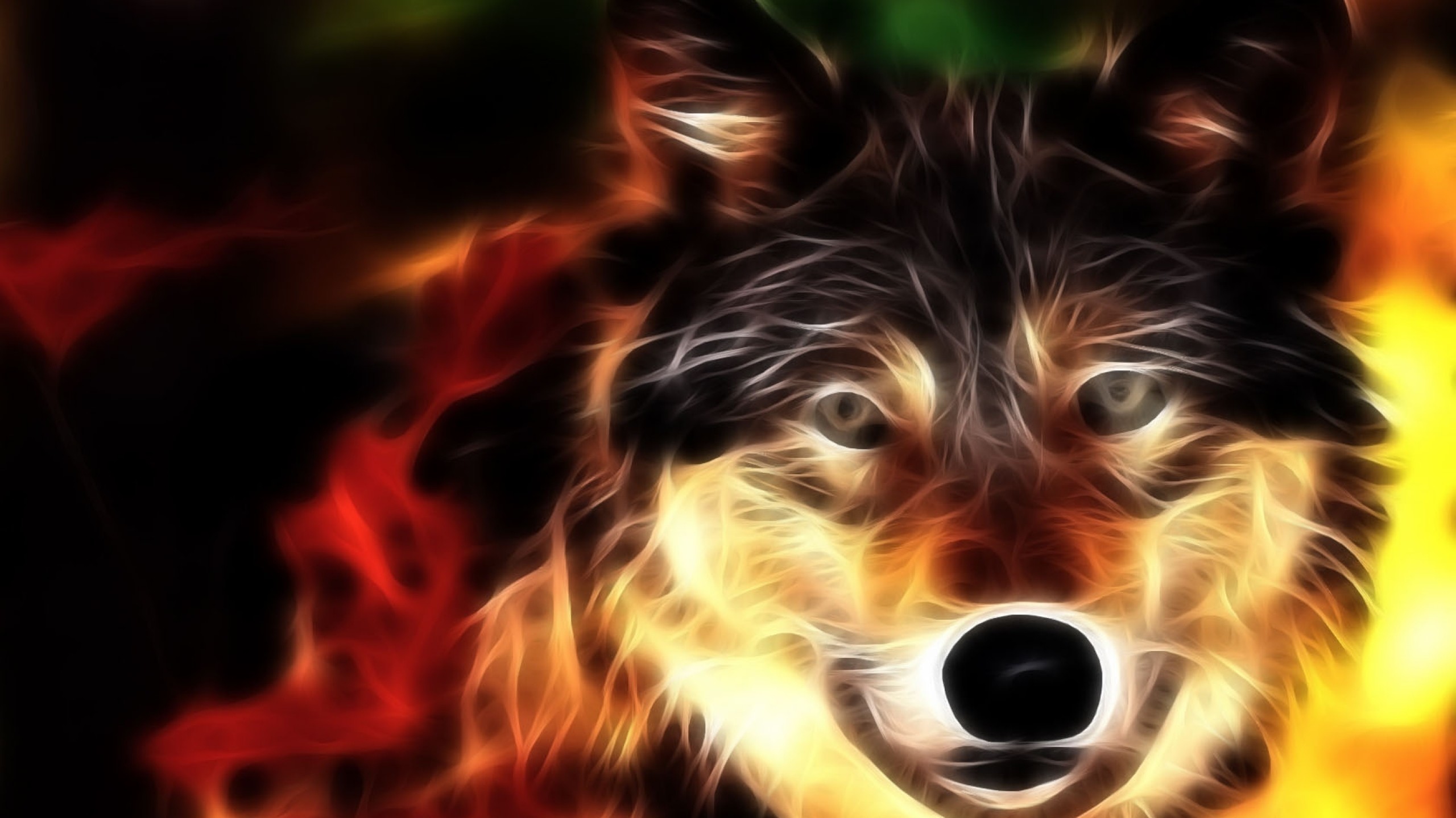 2560x1440 Preview wallpaper wolf, face, light, lines 