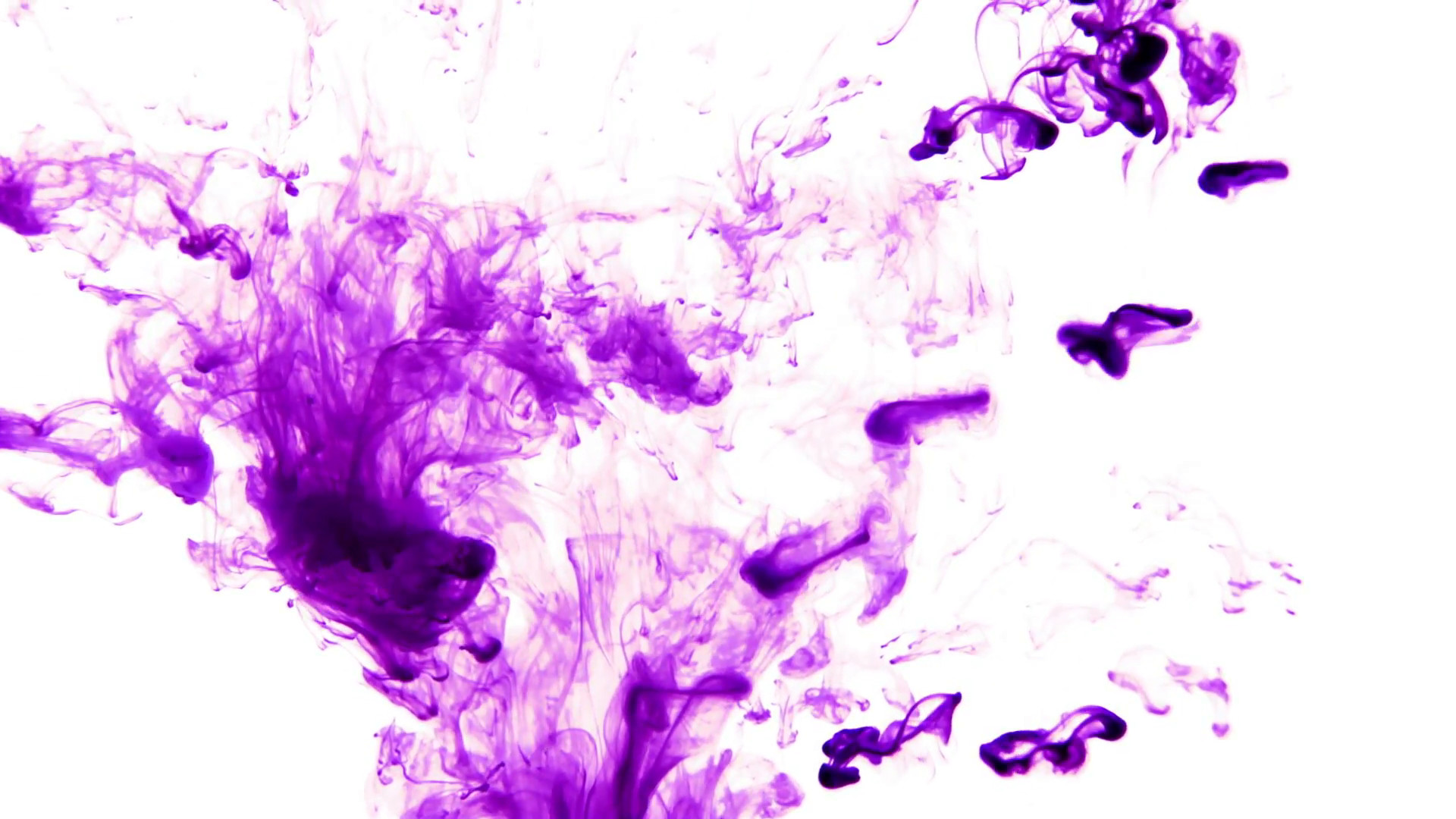 1920x1080 Purple ink reacting in water.Creative slow motion. On a white background.