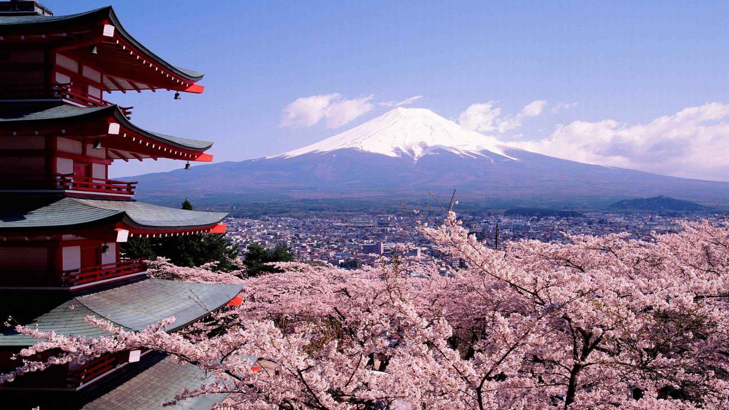 2560x1440 Mount Fuji Japan Wallpaper - Travel HD Wallpapers
