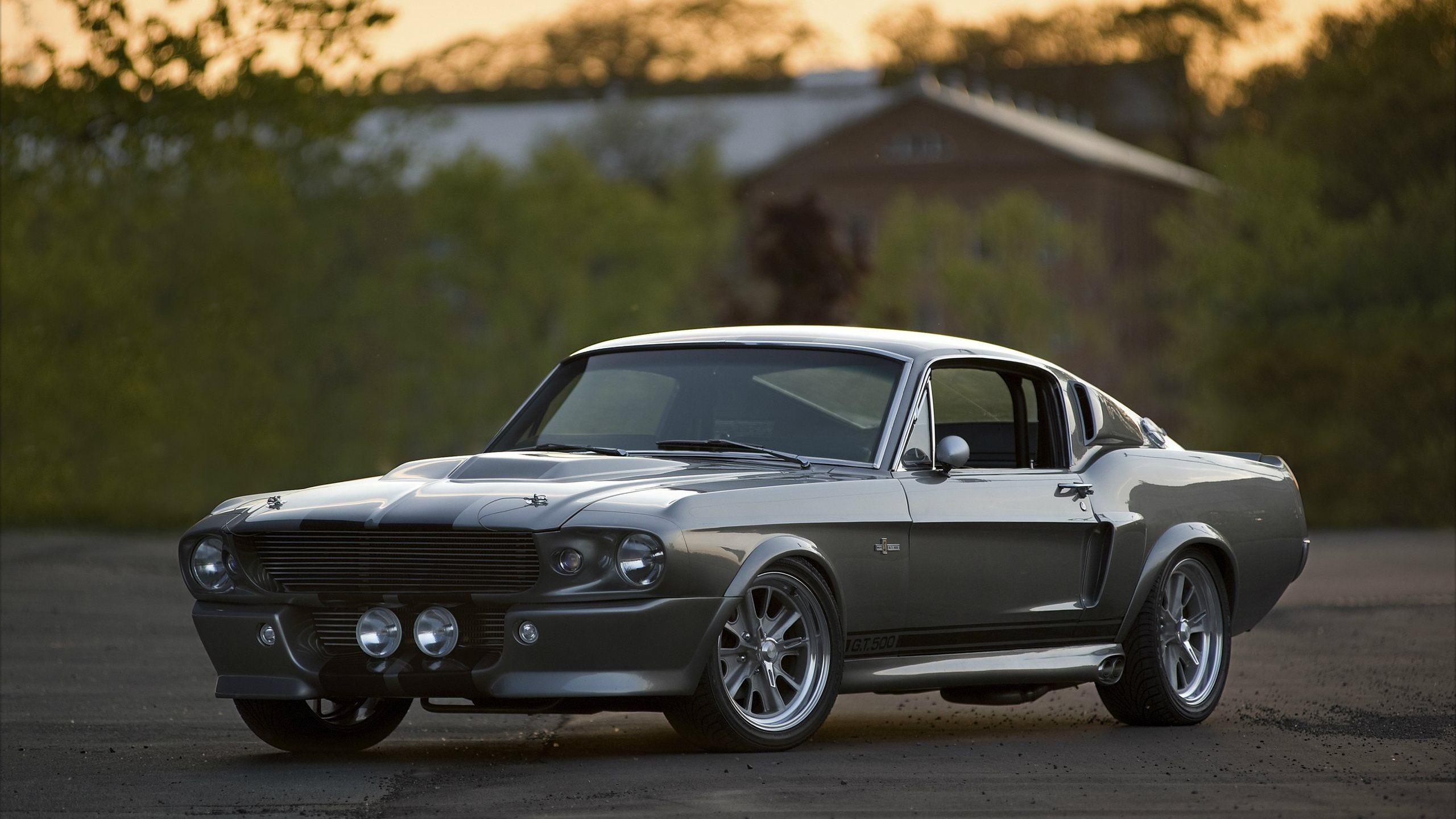 2560x1440 ... Shelby Mustang Wallpaper Phone #4Wm | Cars | Pinterest | Shelby ... 1967  ...