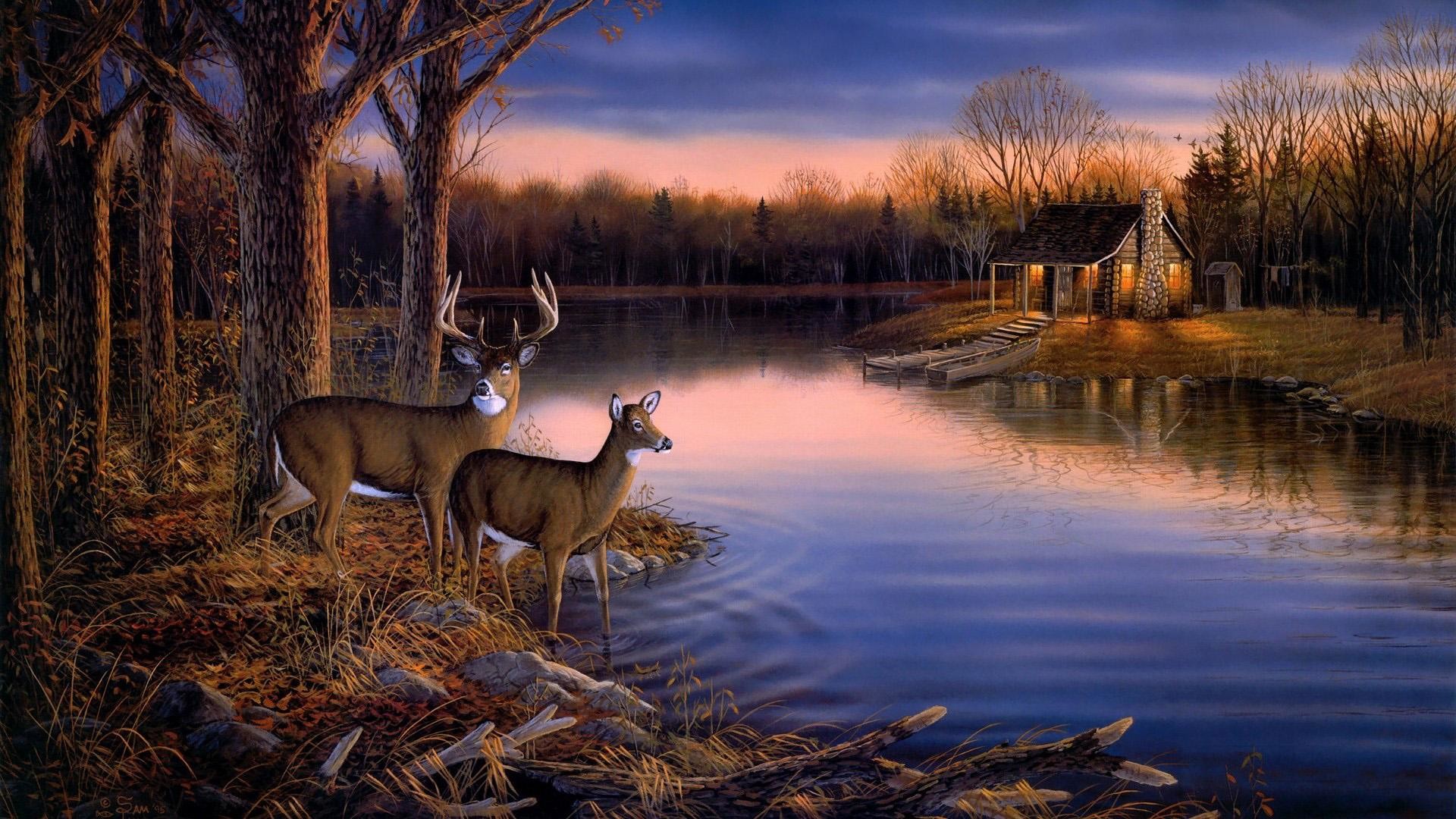 1920x1080 Deer Hunting Wallpaper Border | ... ,landscape wallpaper Picture   1080p hd wallpaper
