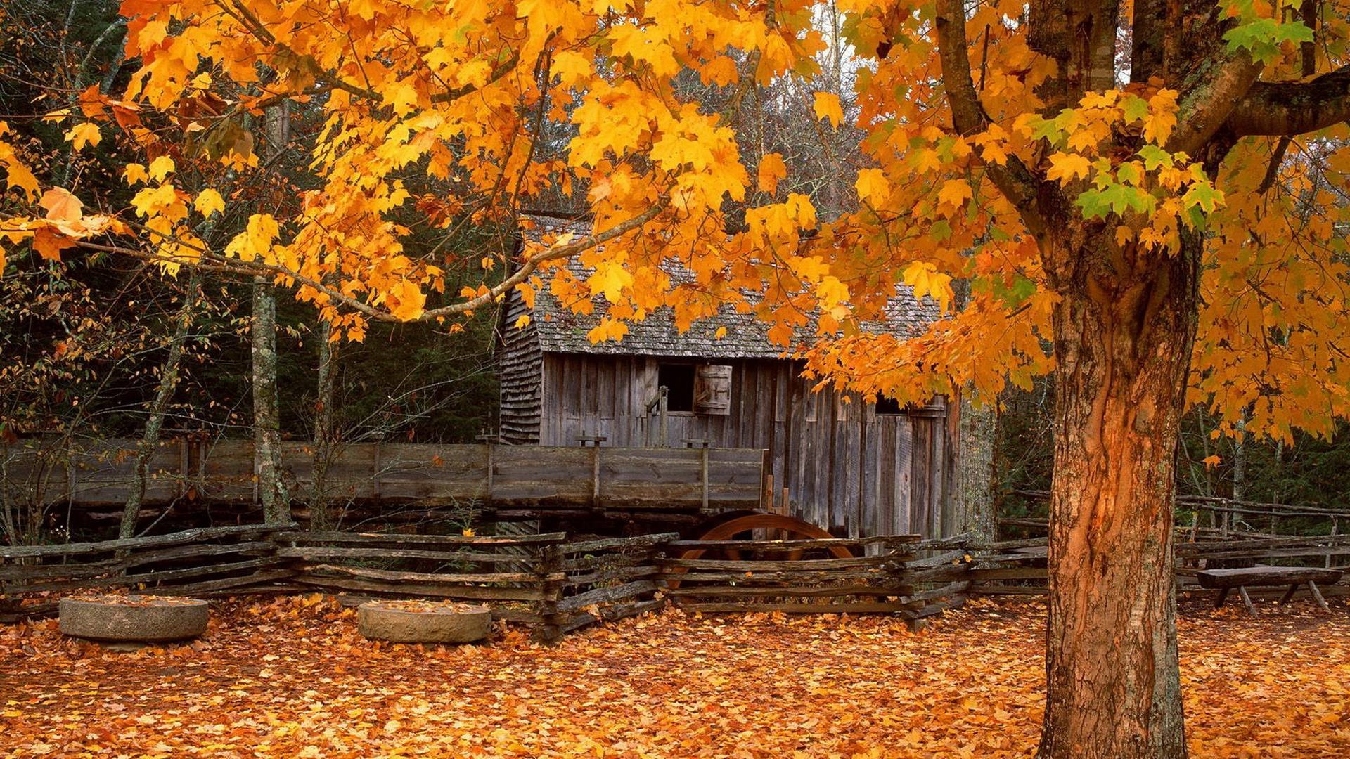 1920x1080 Download Autumn Cabin Wallpaper  | Wallpoper #151707