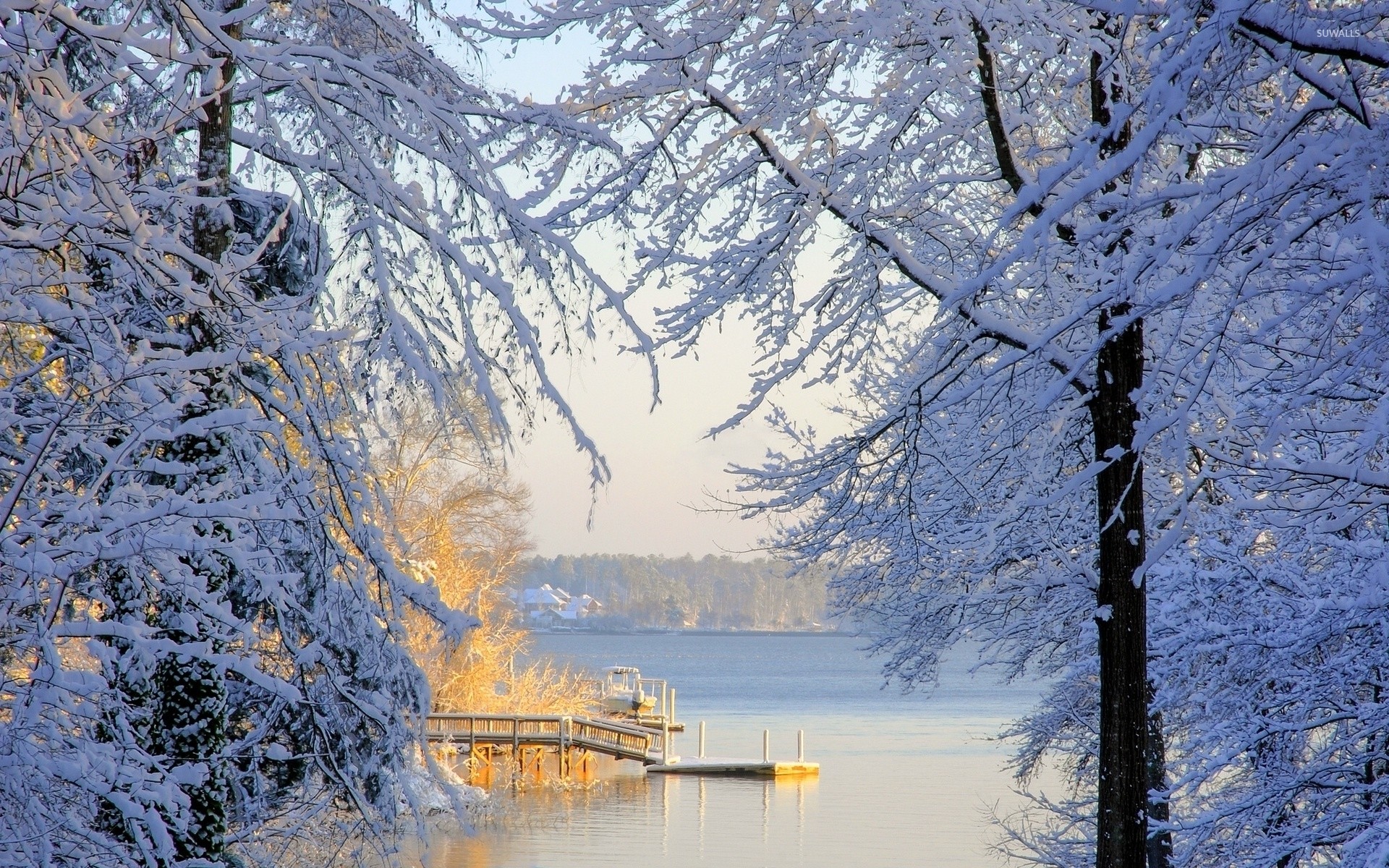 1920x1200 Warm sun reflected on the snowy trees by the lake wallpaper