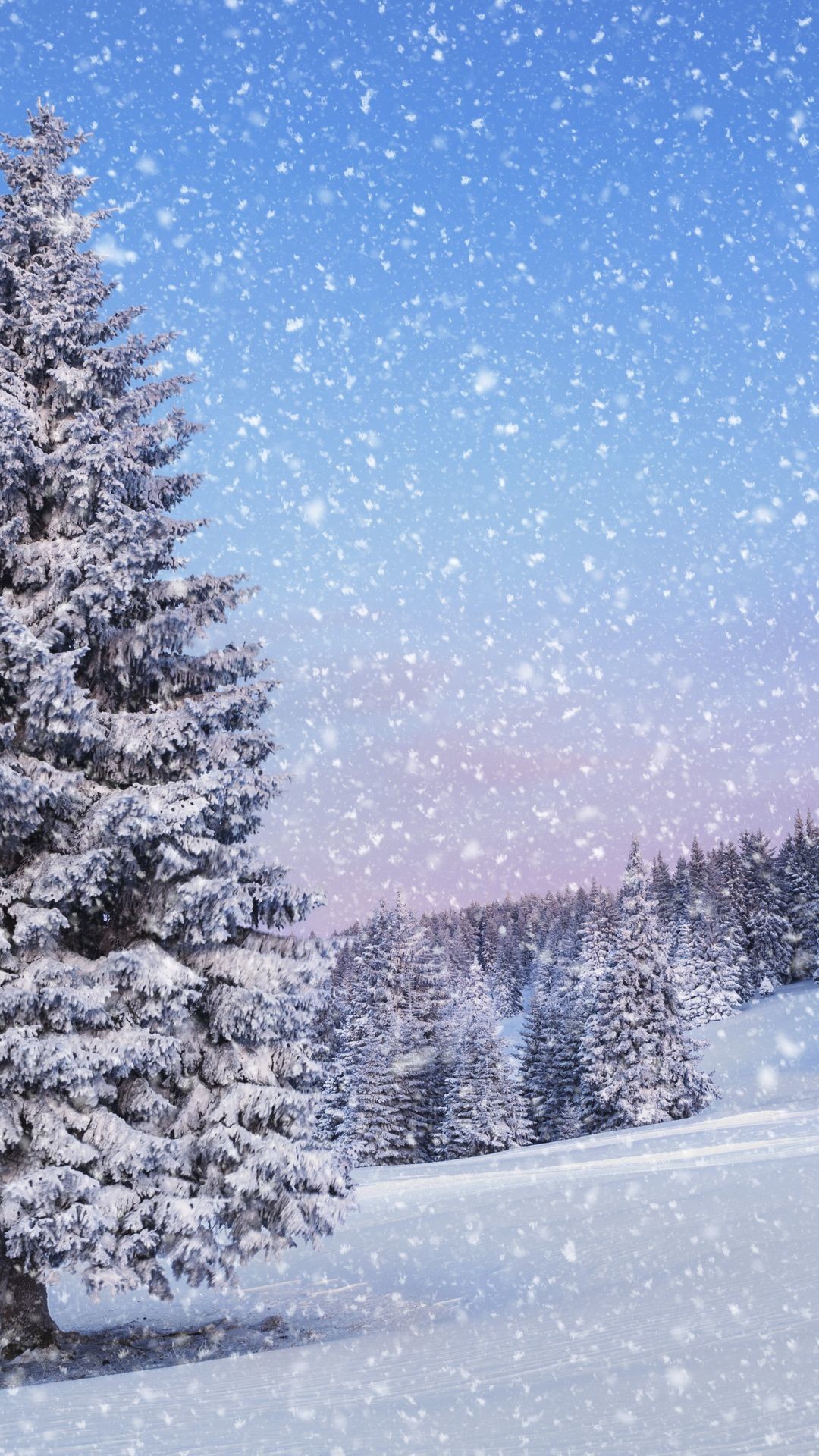 1080x1920 Winter Iphone Wallpaper, Tree Wallpaper, Desktop Backgrounds, Desktop  Wallpapers, Winter Time, Winter Wonderland, Desktop Background Images