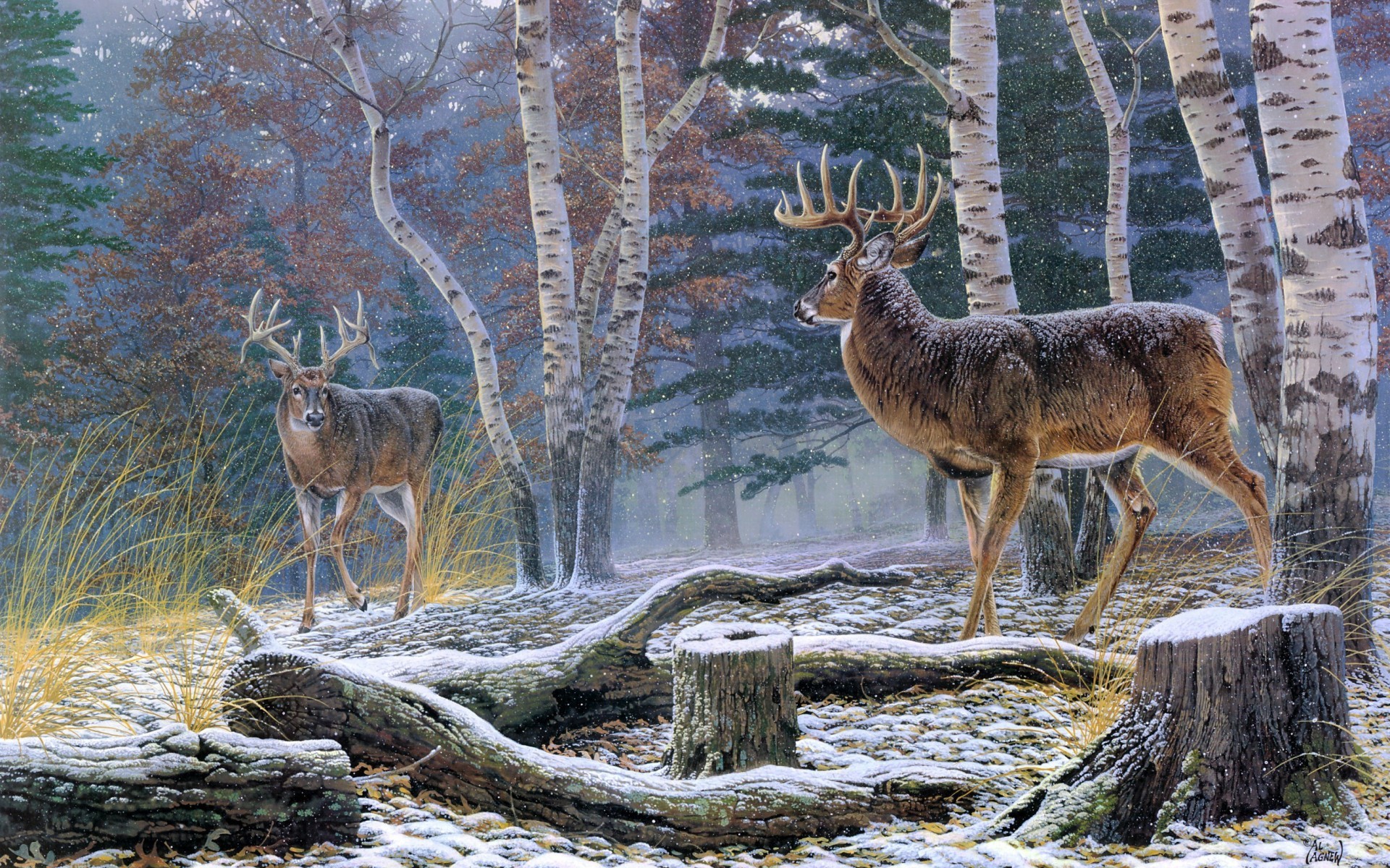 1920x1200 Winter Deer Wallpaper Backgrounds, Winter Deer High Quality .