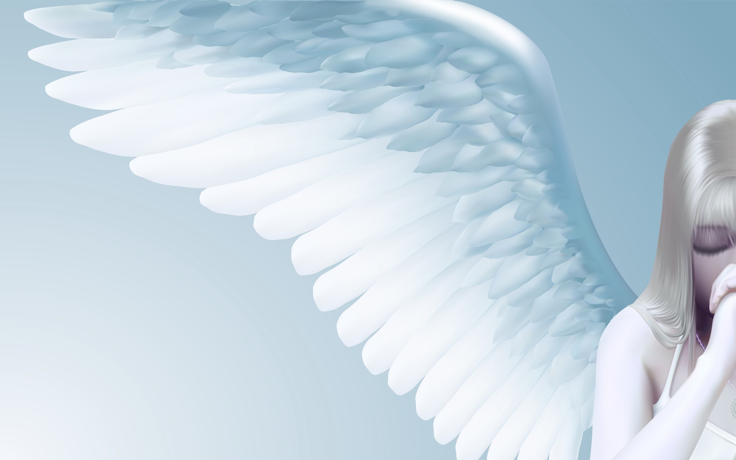 2560x1600 angel girl wings light