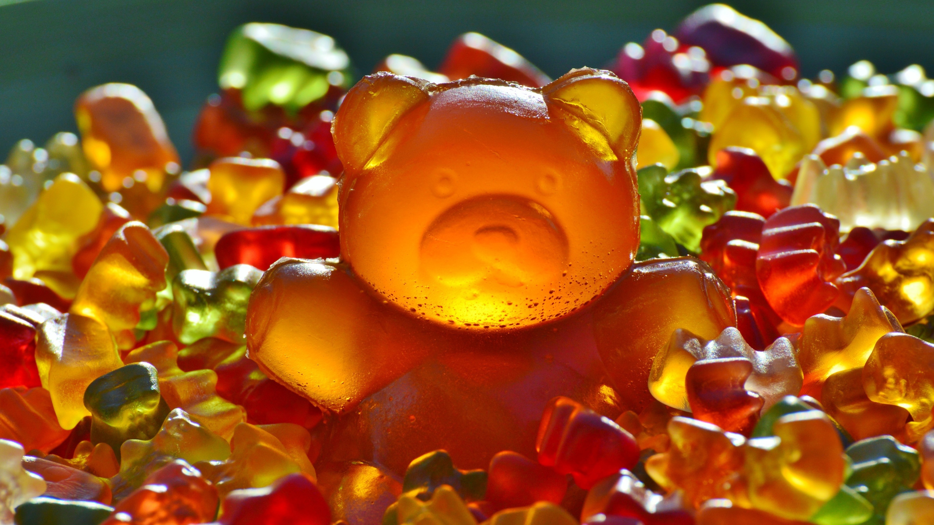 3840x2160 animals, Bears, Gummy Bears, Sweets, Candies, Colorful, Food, Closeup,  Depth Of Field, Simple Background, Glowing Wallpapers HD / Desktop and  Mobile ...