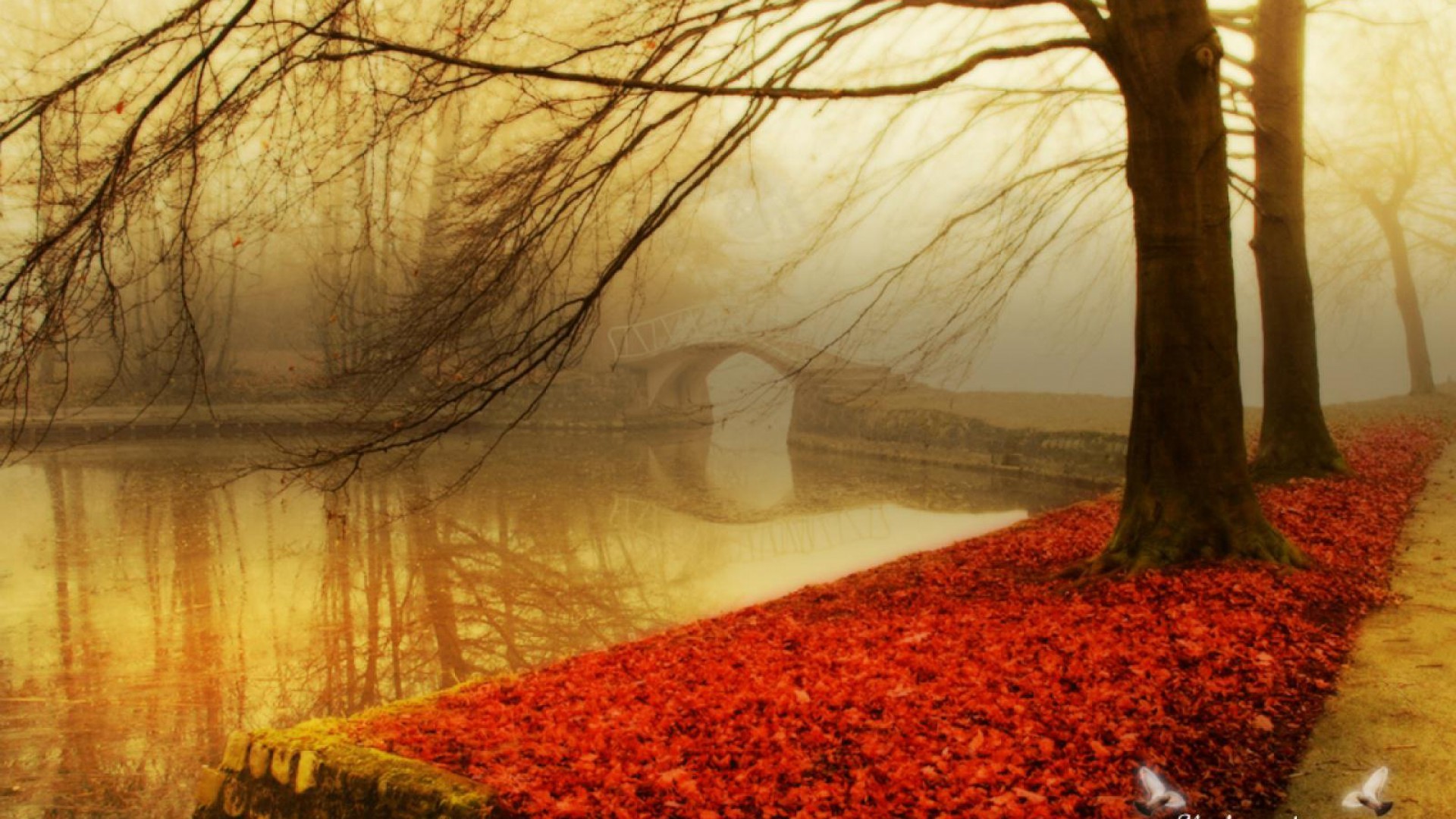 1920x1080 Pix For > Hd Autumn Wallpapers 1080p