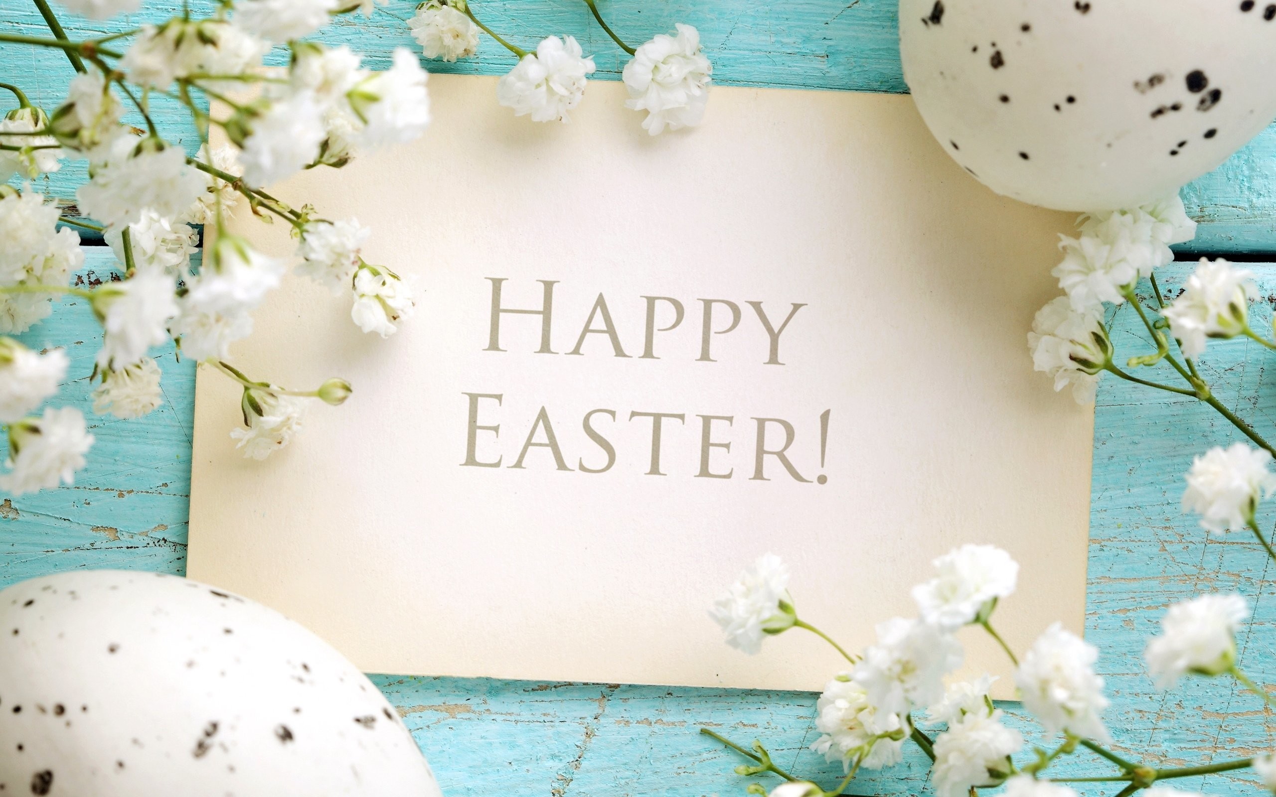 2560x1600 blue easter happy delicate flowers pastel eggs spring wallpaper