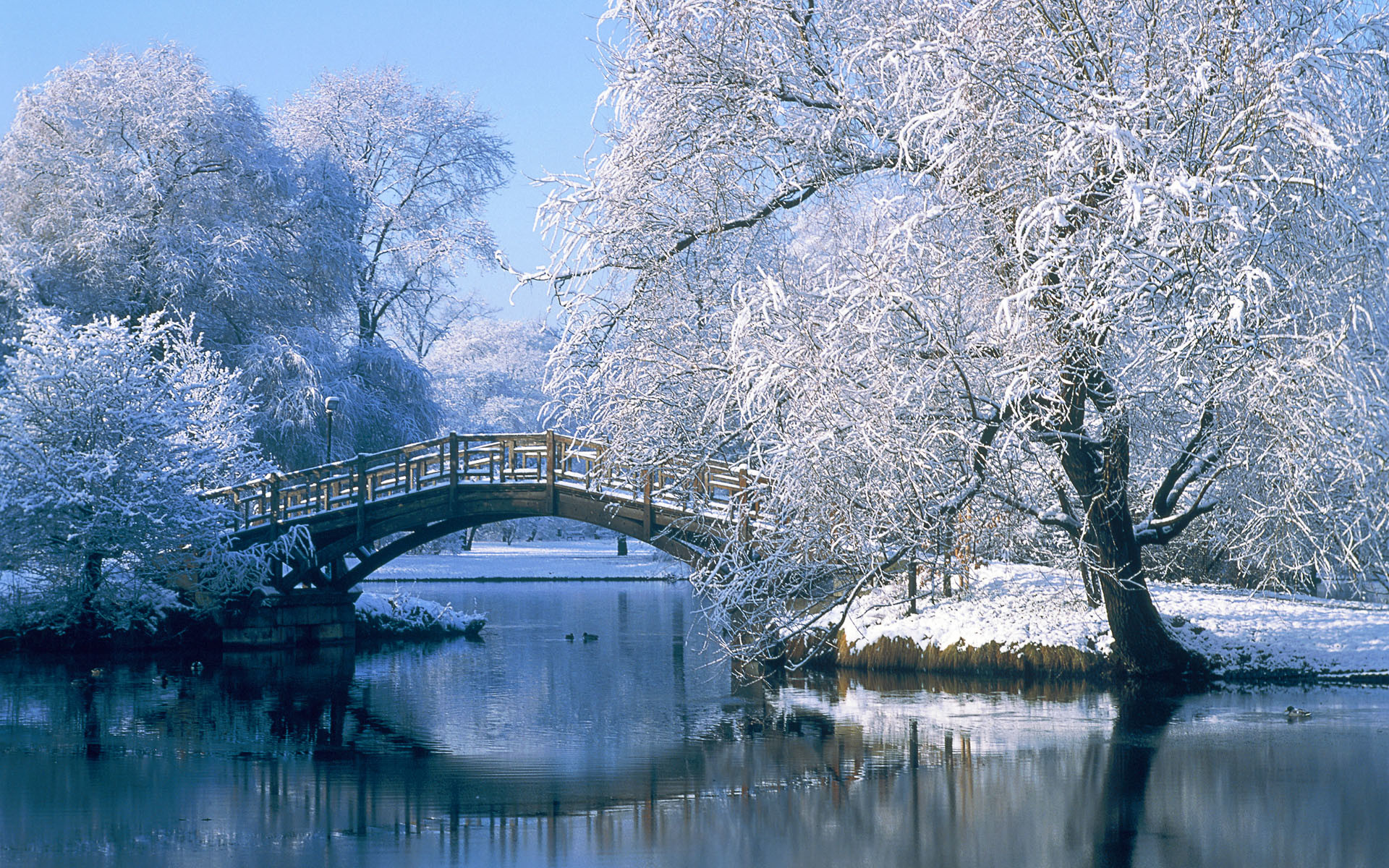 1920x1200 Photography - Winter Landscape Pond Water Bridge Tree Reflection Snow  Wallpaper