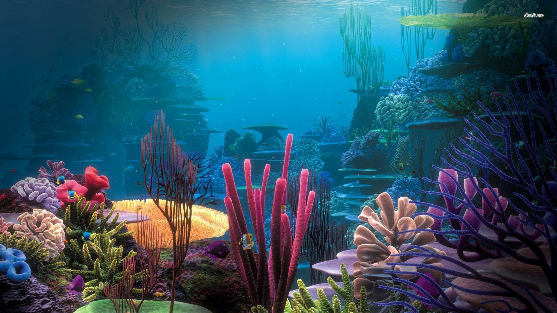 best free aquarium screensaver 1920 x 1080