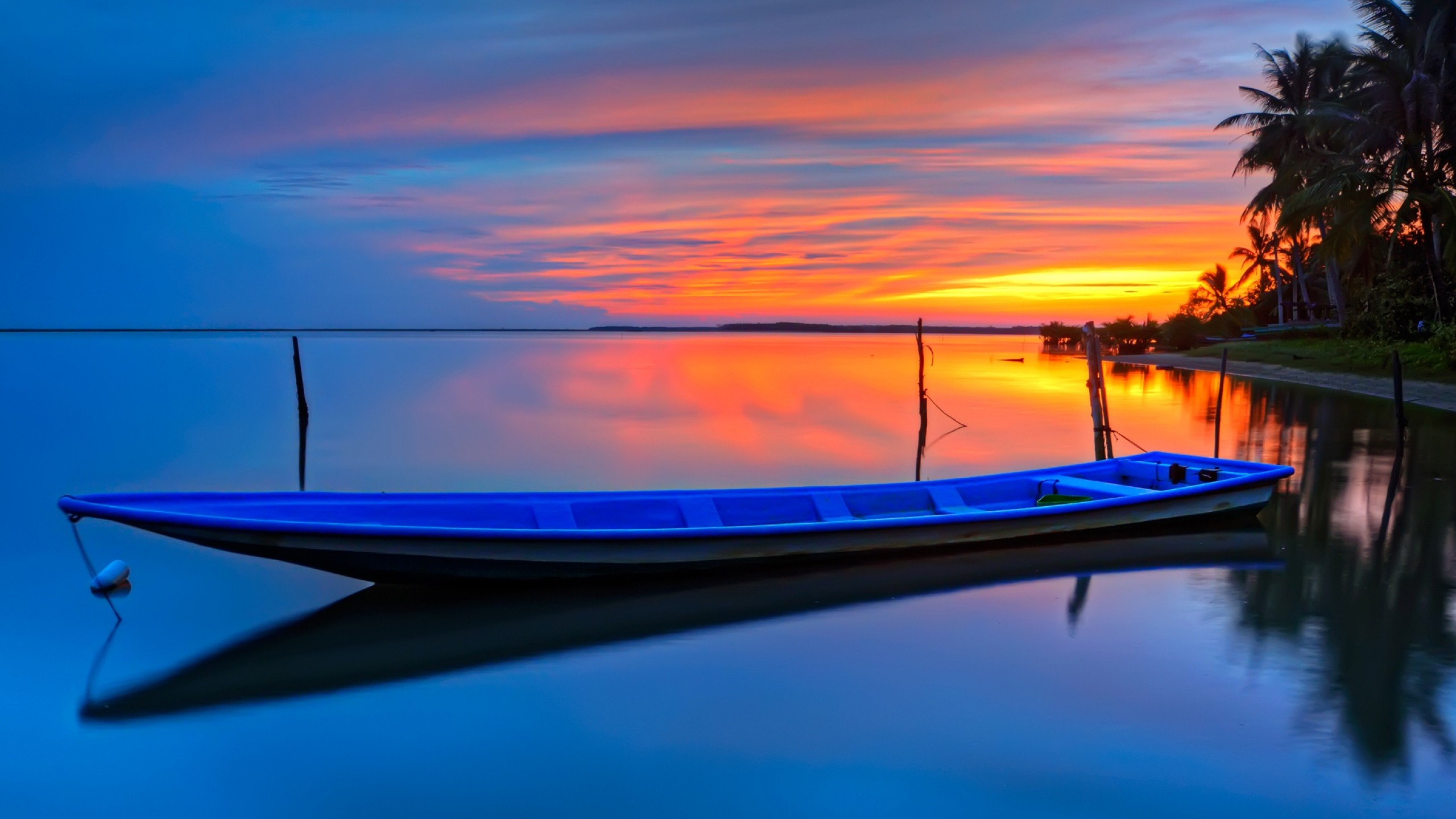 2560x1440  Wallpaper boat, ocean, palm trees, sunset