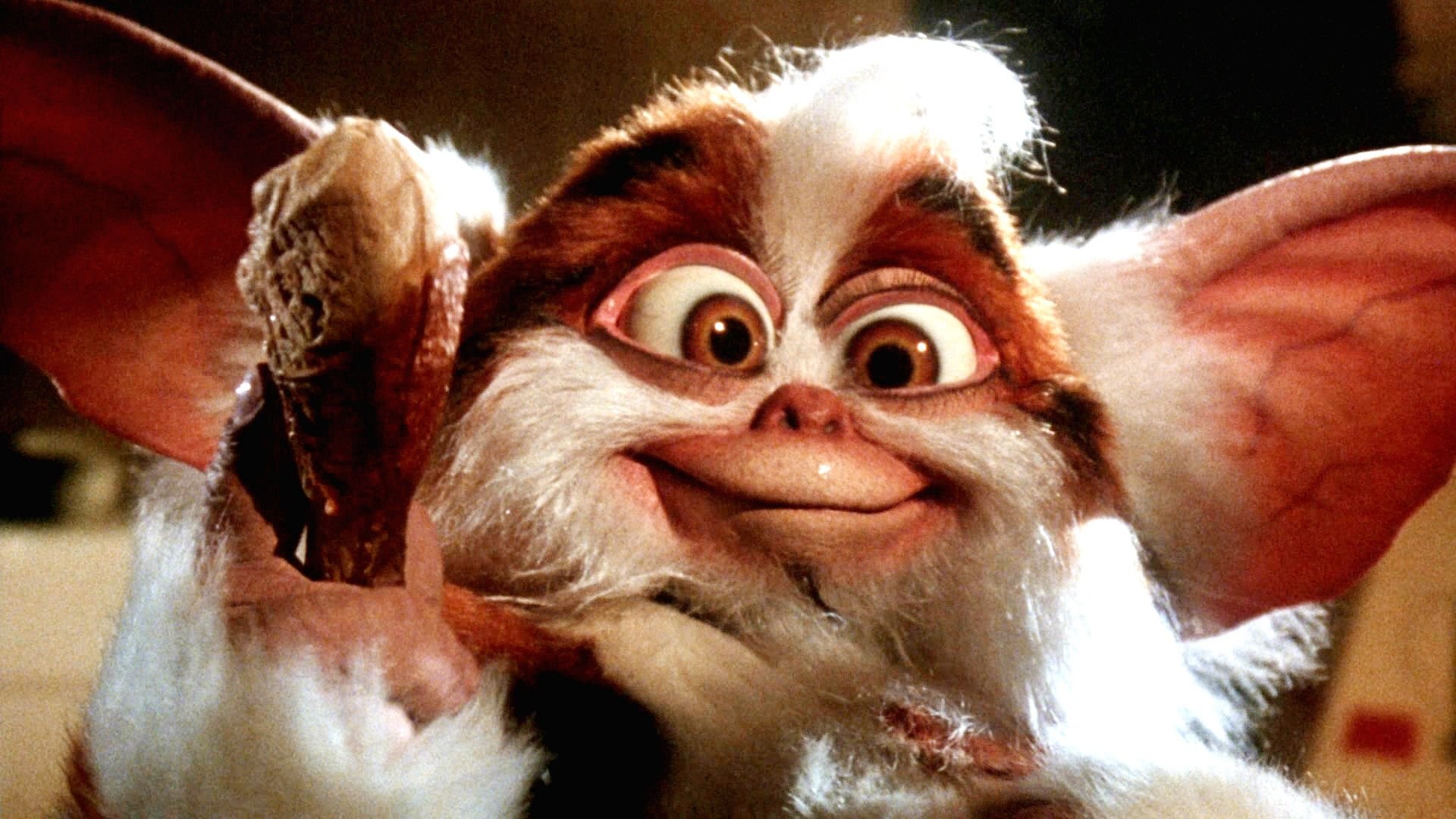 1920x1080 Wallpaper Gremlins, Gremlins, a mythical creature, gizmo, gizmo .