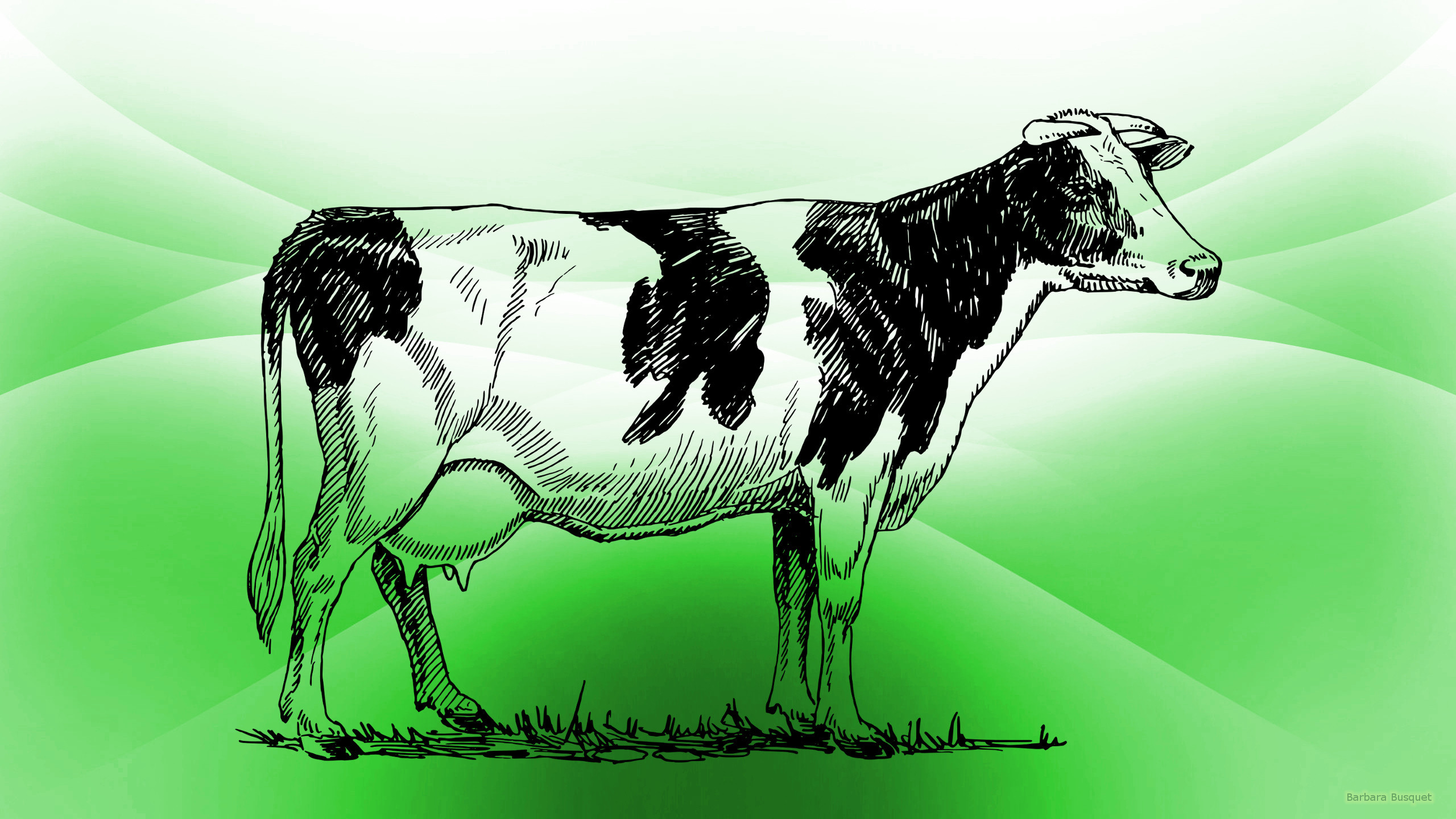 2560x1440 Green HD wallpaper with cow