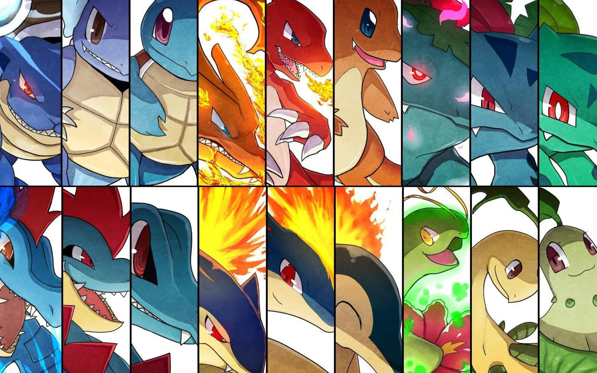 1920x1200 Day Favorite Starter Pokemon I love almost all the starters, but i choose  the first and second generation, especially Charmander and Cyndaquile