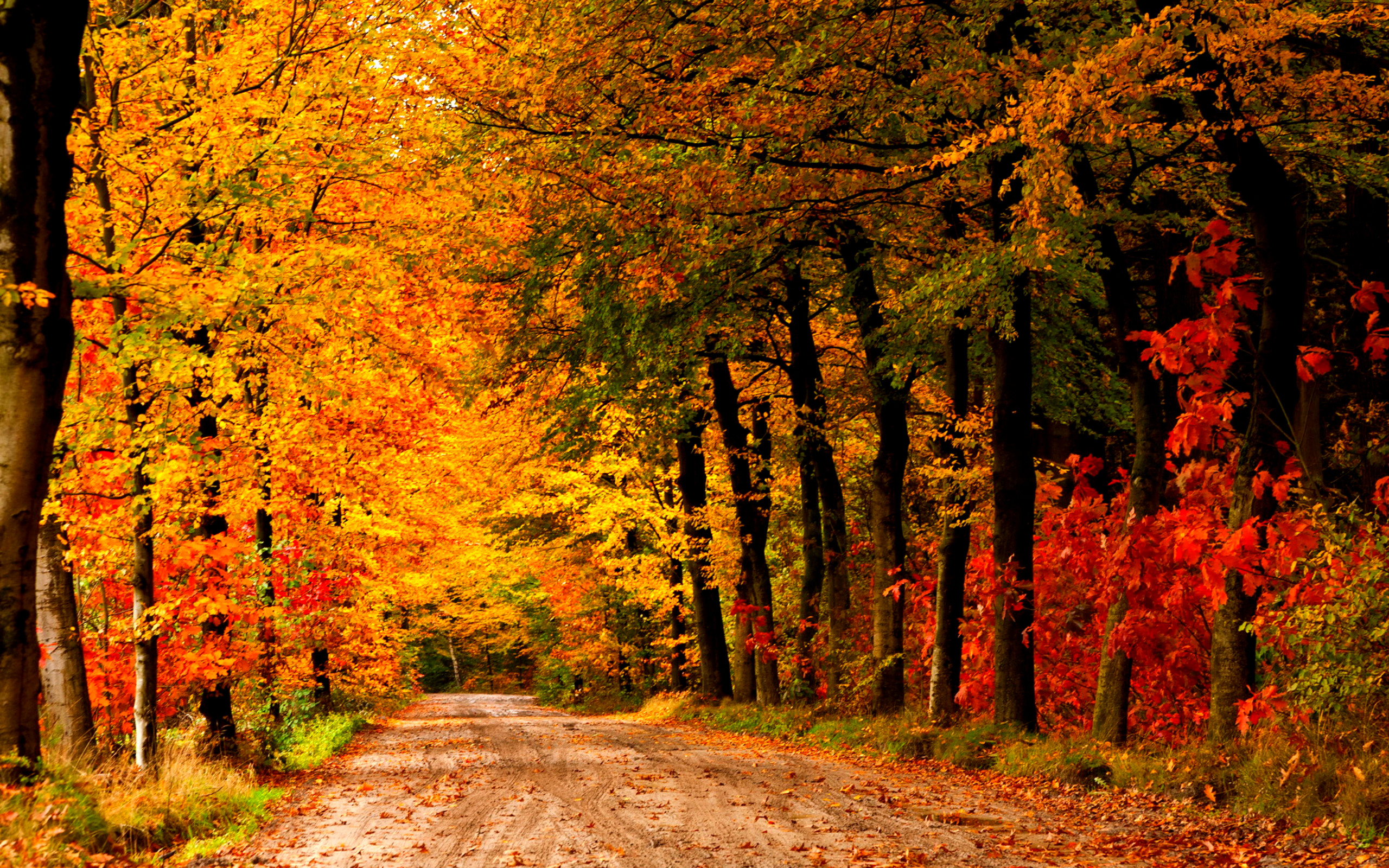 2560x1600 Collection of Country Fall Wallpaper on HDWallpapers
