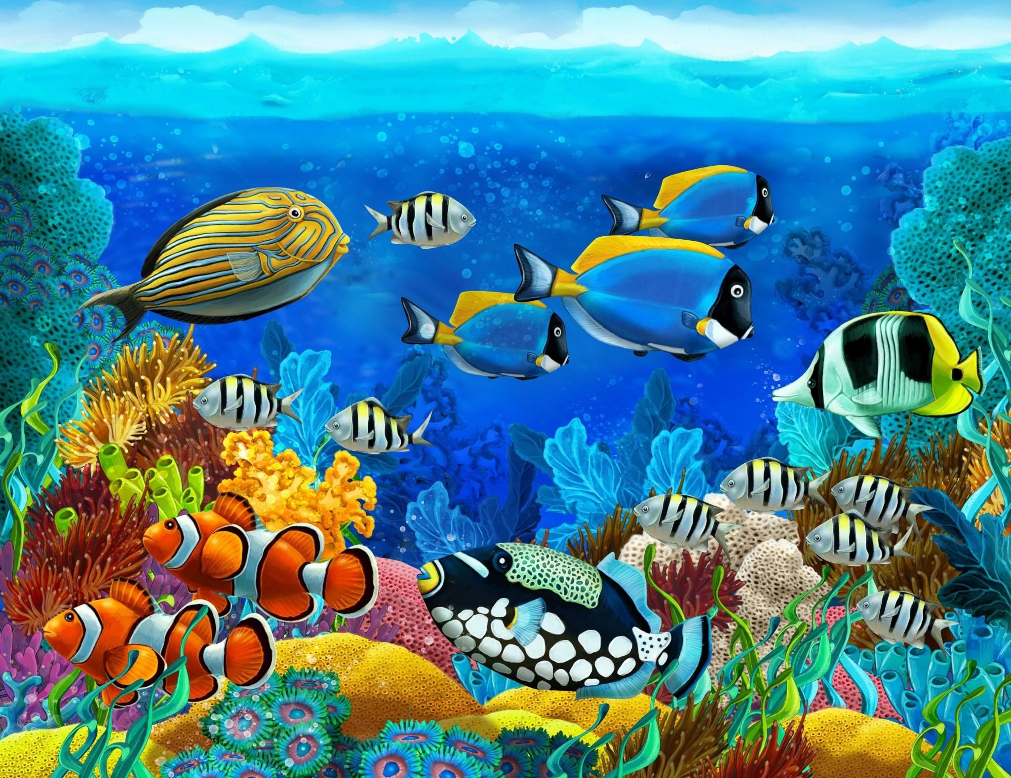 2048x1577 underwater desktop backgrounds wallpaper
