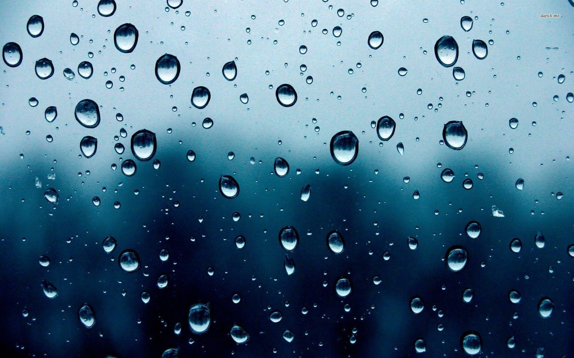 1920x1200 Wide HDQ Free Raindrops Wallpapers, Most Beautiful Pictures | ZZ.XuN