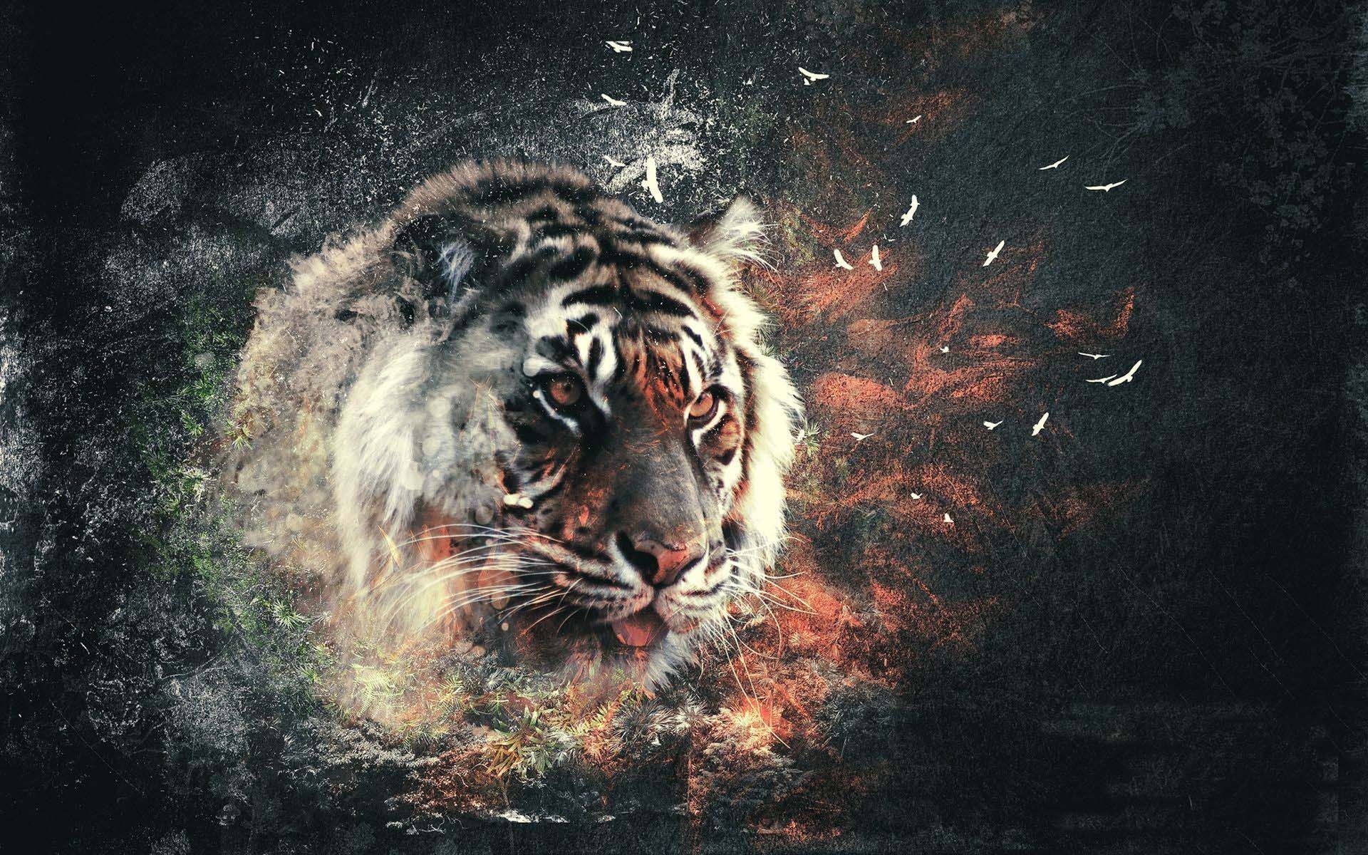 1920x1200 Tiger Wallpaper 3d Hd Resolution