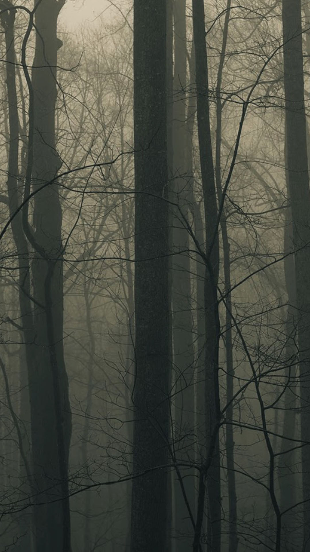 1080x1920 Spooky Forest Trees Mist Android Wallpaper ...