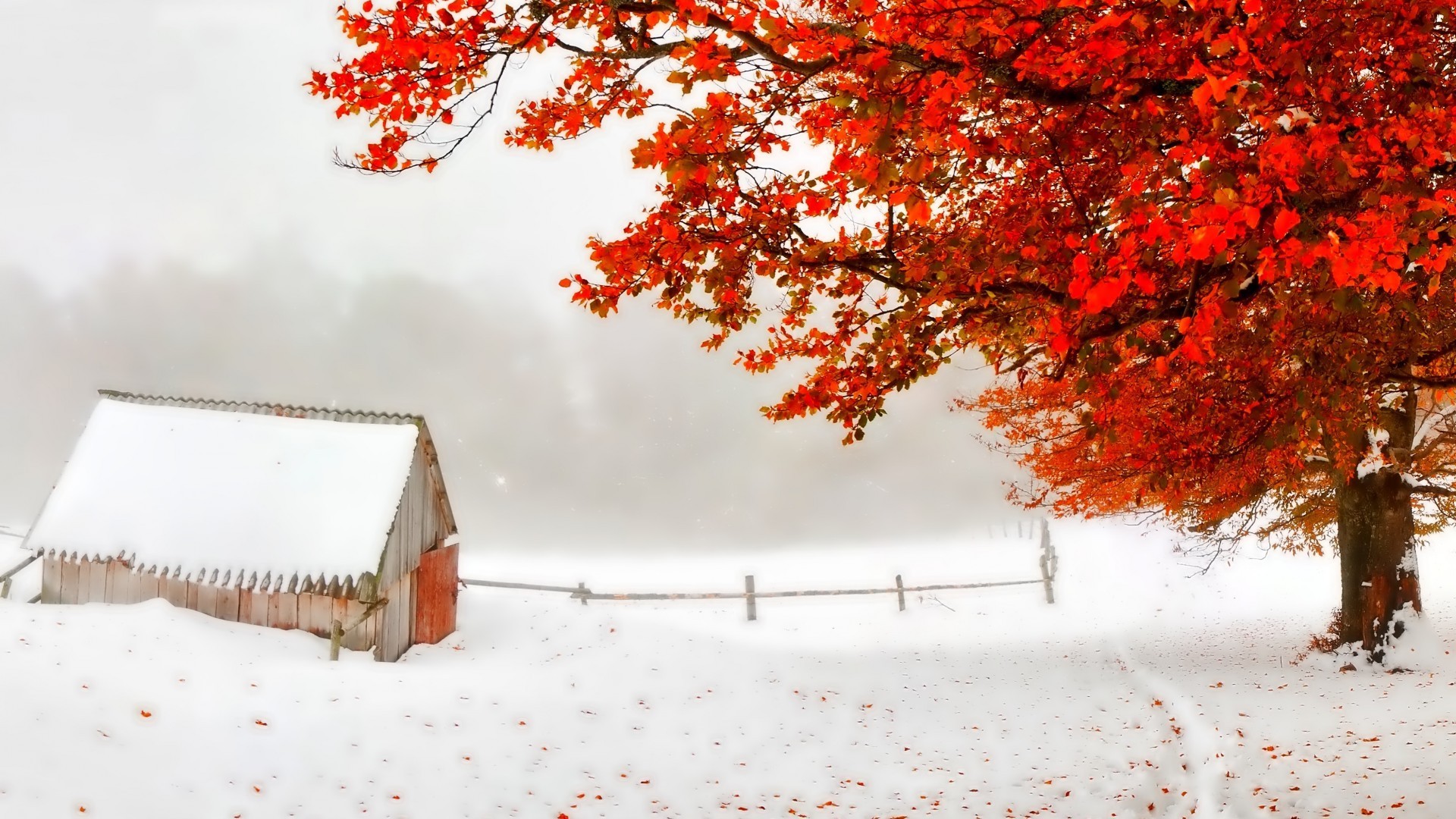 1920x1080 Storm Shack Tree Red Snow Leaves Early Autumn Countryside Winter Wallpaper  For Desktop Background Detail