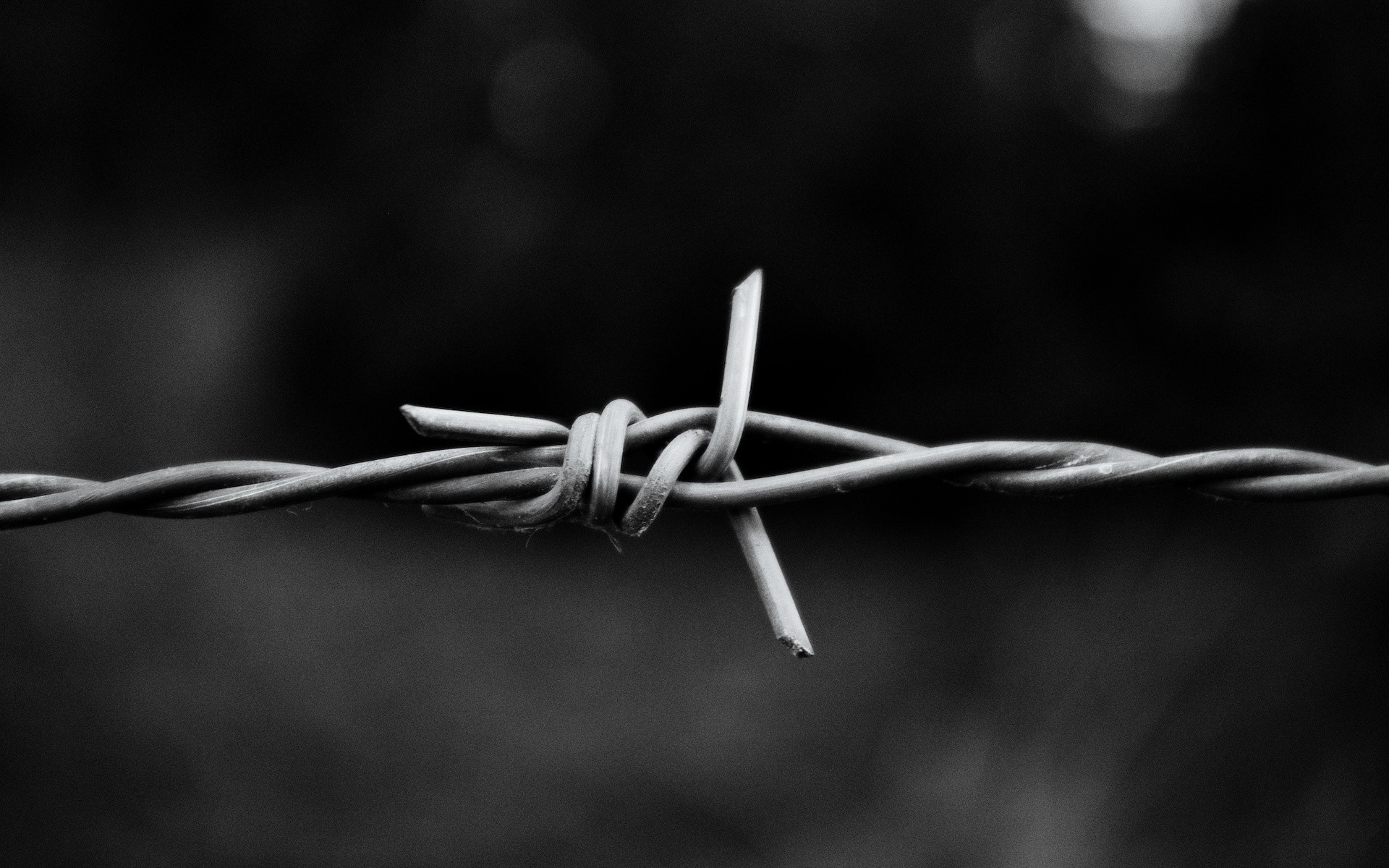 1920x1200 Wallpaper Wire, Metal, Twisted, Black white HD, Picture, Image