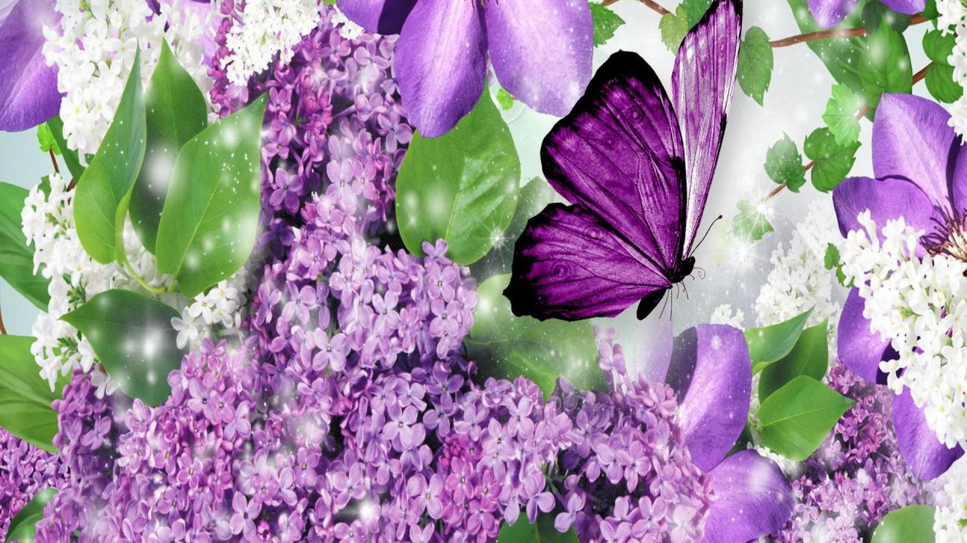 1920x1080 82 best Butterflies Betterfly images on Pinterest | Beautiful ... Beautiful  purple ...