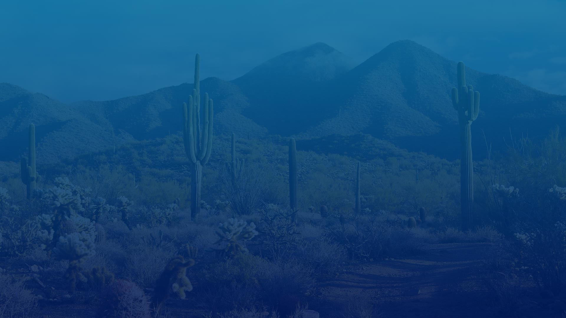 1920x1080 Website Redesign – Phoenix, Arizona (background)
