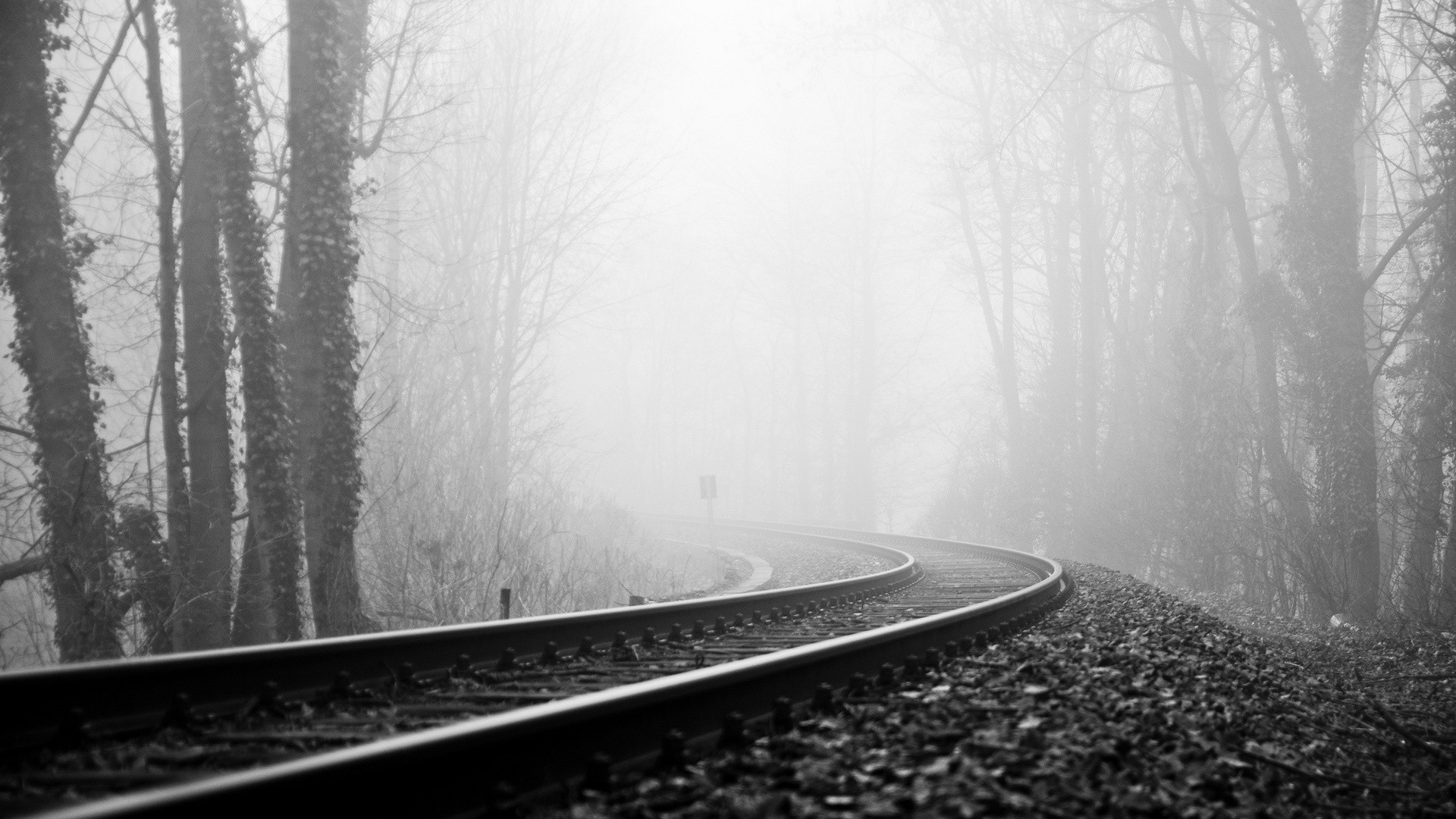 1920x1080 Vehicles train tracks railroad black white trees forest fog haze .
