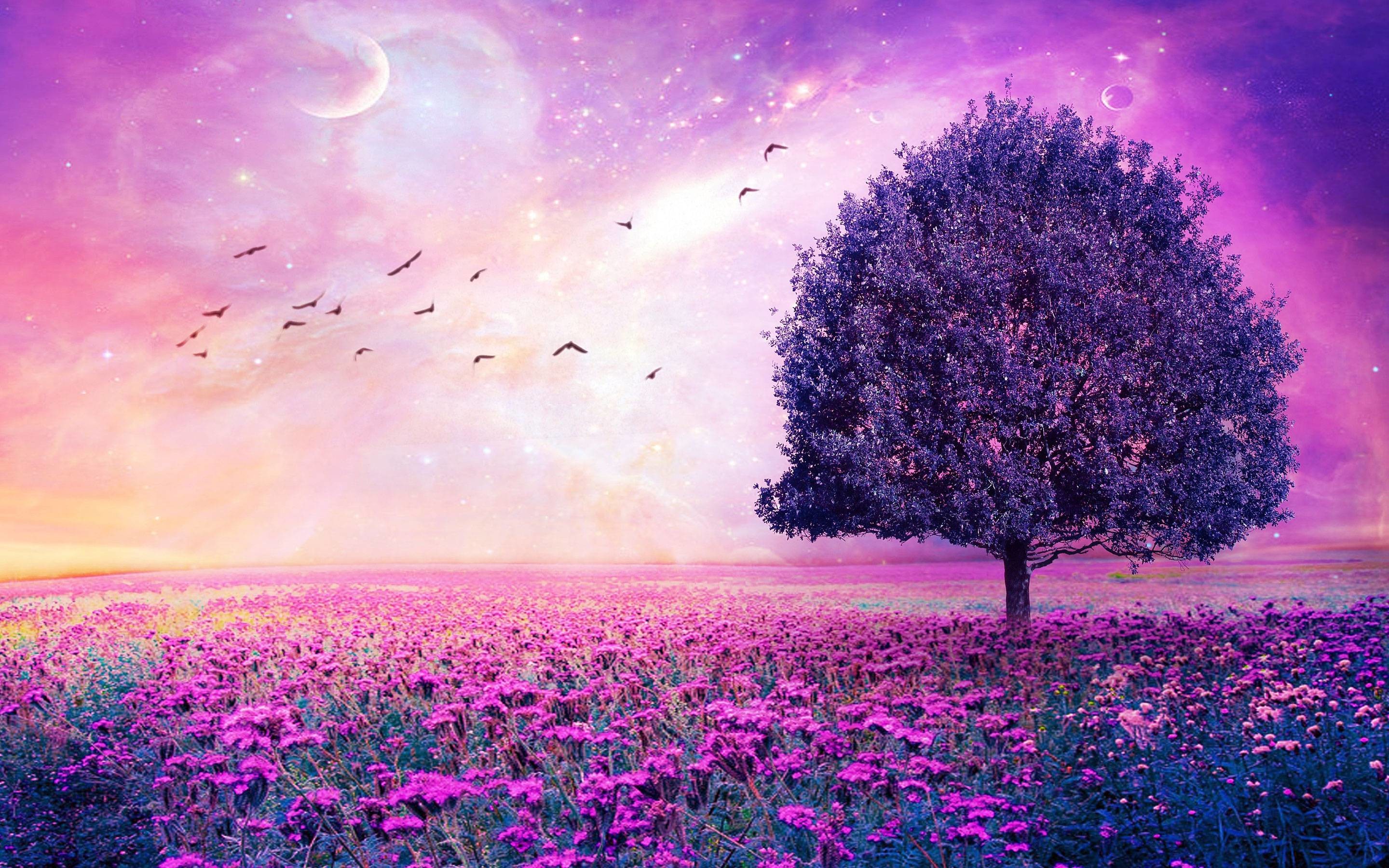 2880x1800 Purple Flowers Field Art Tree HD Wallpapers - High Definition .