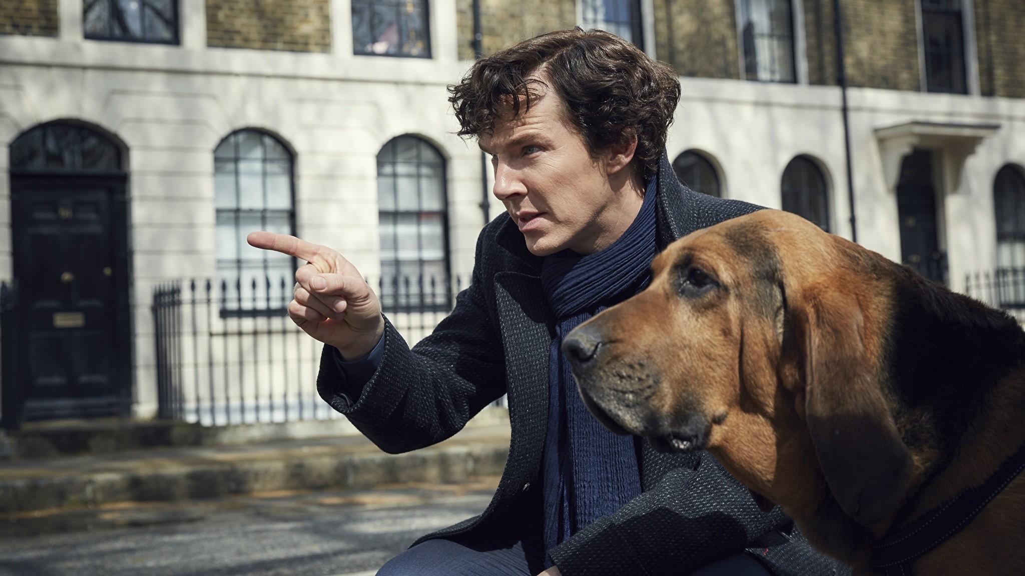 2048x1152 Wallpaper Sherlock Holmes Benedict Cumberbatch Dogs Man season 4 Movies  Celebrities  Men