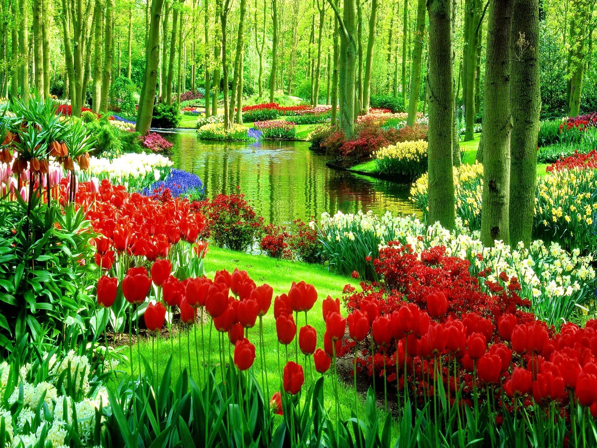 1920x1440 Green Park With Flowers Nature Full HD Wallpaper