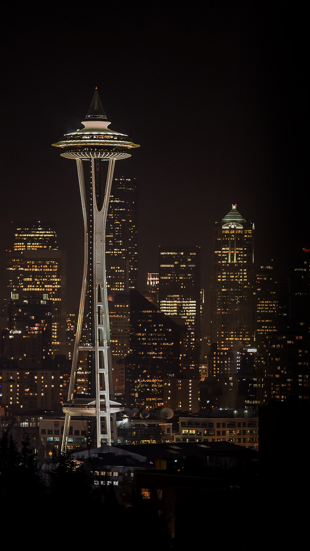 1080x1920 Seattle Night Light City Skyline Android Wallpaper ...