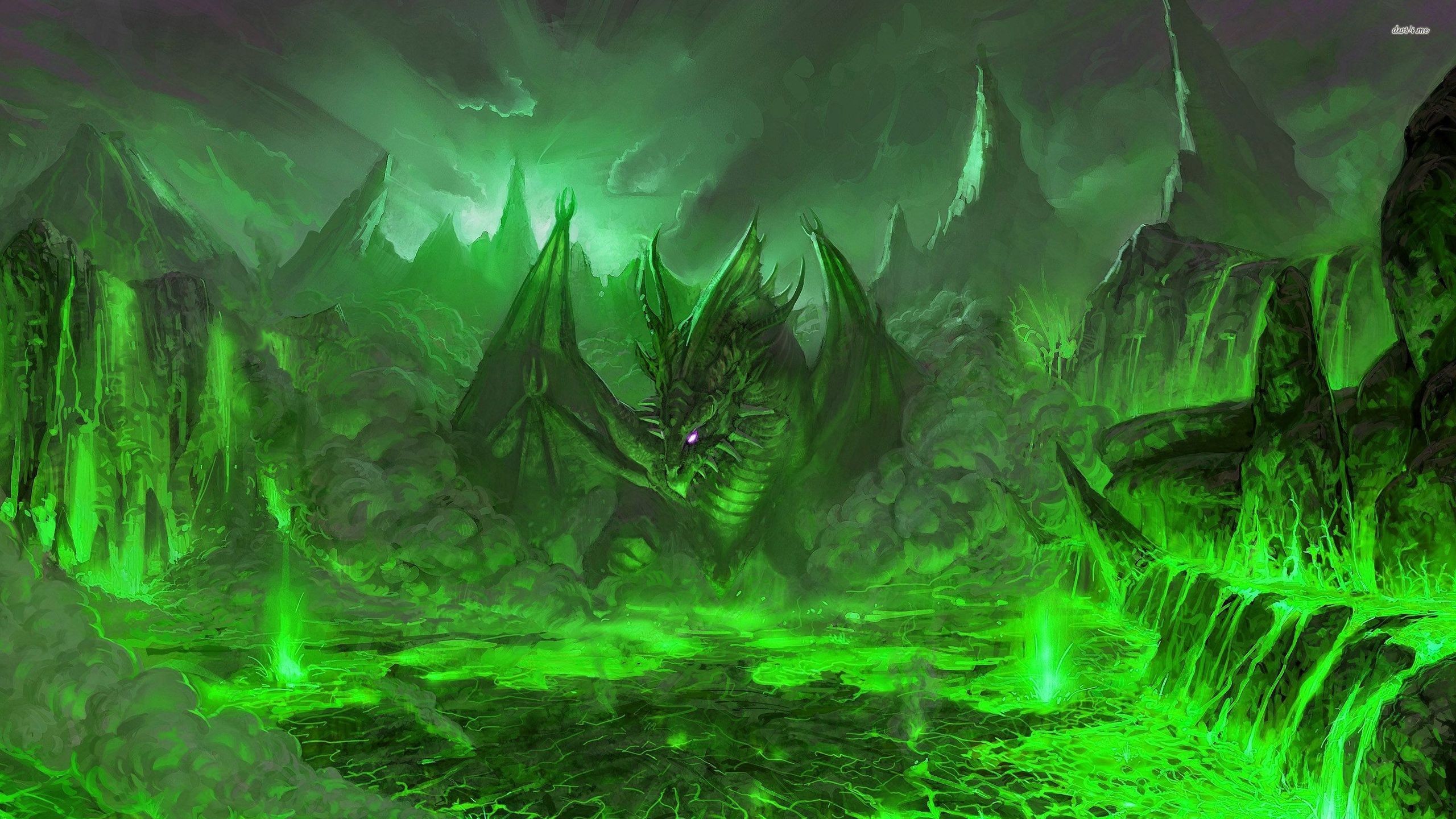 2560x1440 Green dragon in the volcano wallpaper - Fantasy wallpapers - #27438