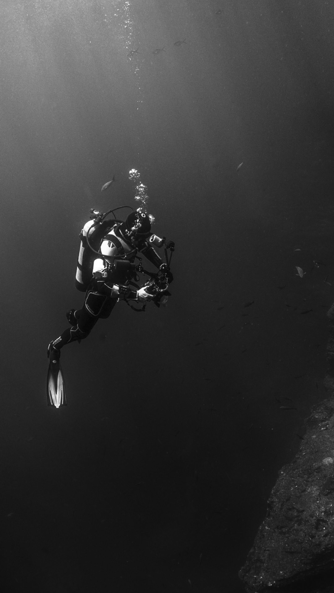 1080x1920 4K HD Wallpaper: Diver in the Pacific Ocean