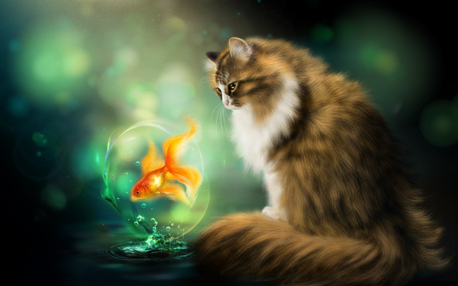 1920x1200 nelena photoshop cat goldfish cat fish