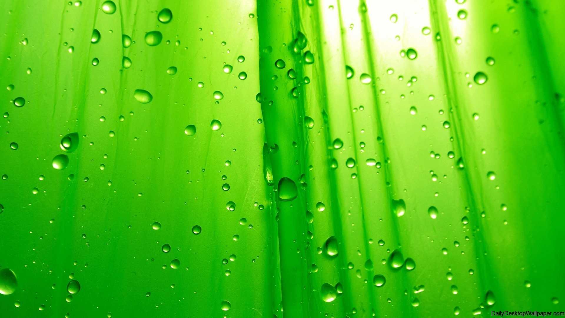 1920x1080 Green Raindrop Wallpaper