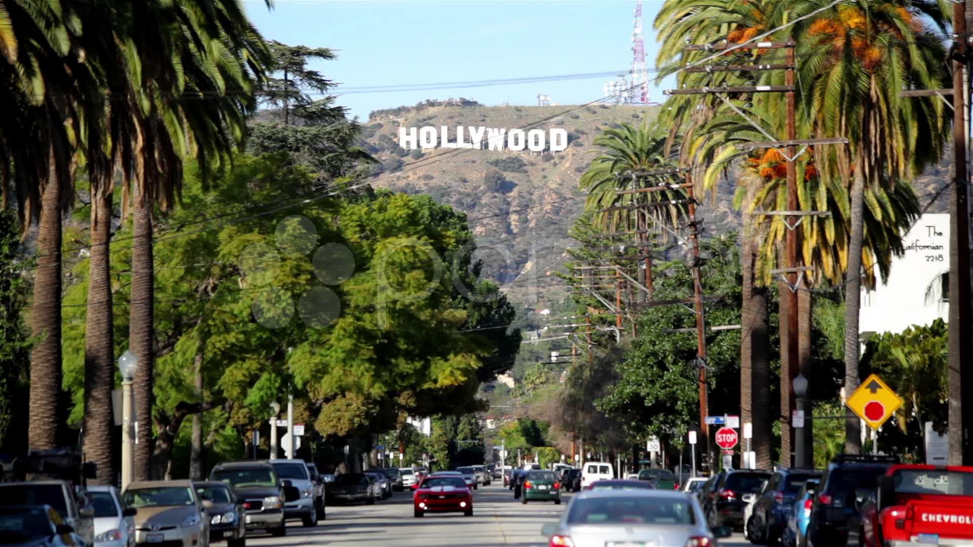 1920x1080 ... Weldon Kuhns: Hollywood Sign Wallpapers, WP-716: px