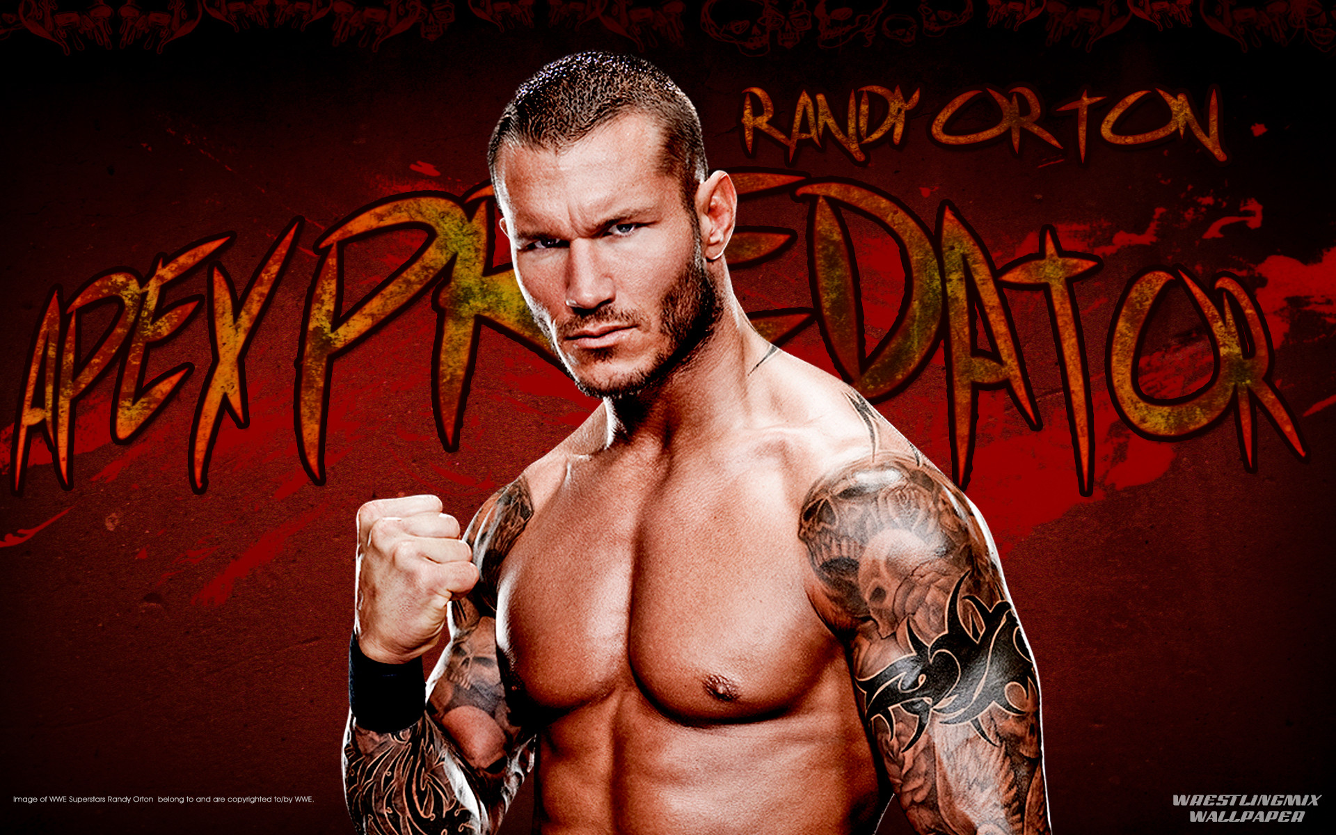 1920x1200 WWE Randy Orton Wallpapers HD Pictures