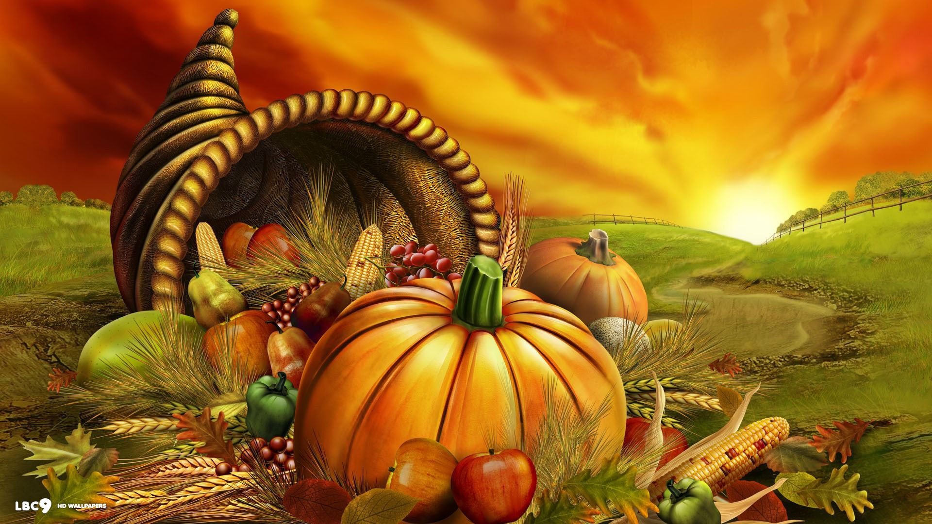 1920x1080 thanksgiving day autumn fruit harvest pumpkin orange sunset holiday desktop  background