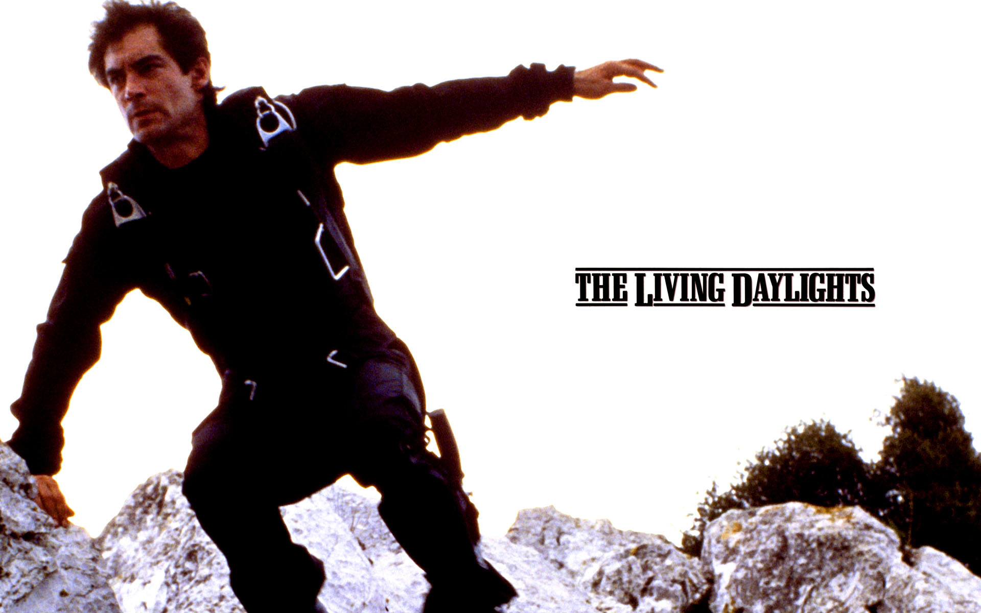 1920x1200 ... 006 the living daylights wallpapers 007
