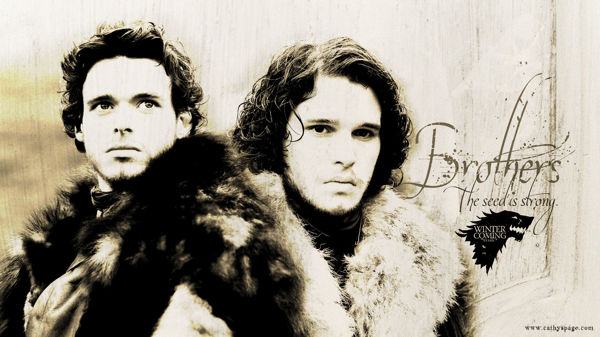 1920x1080 Jon Snow and Robb Stark images Robb Stark and Jon Snow HD wallpaper and  background photos