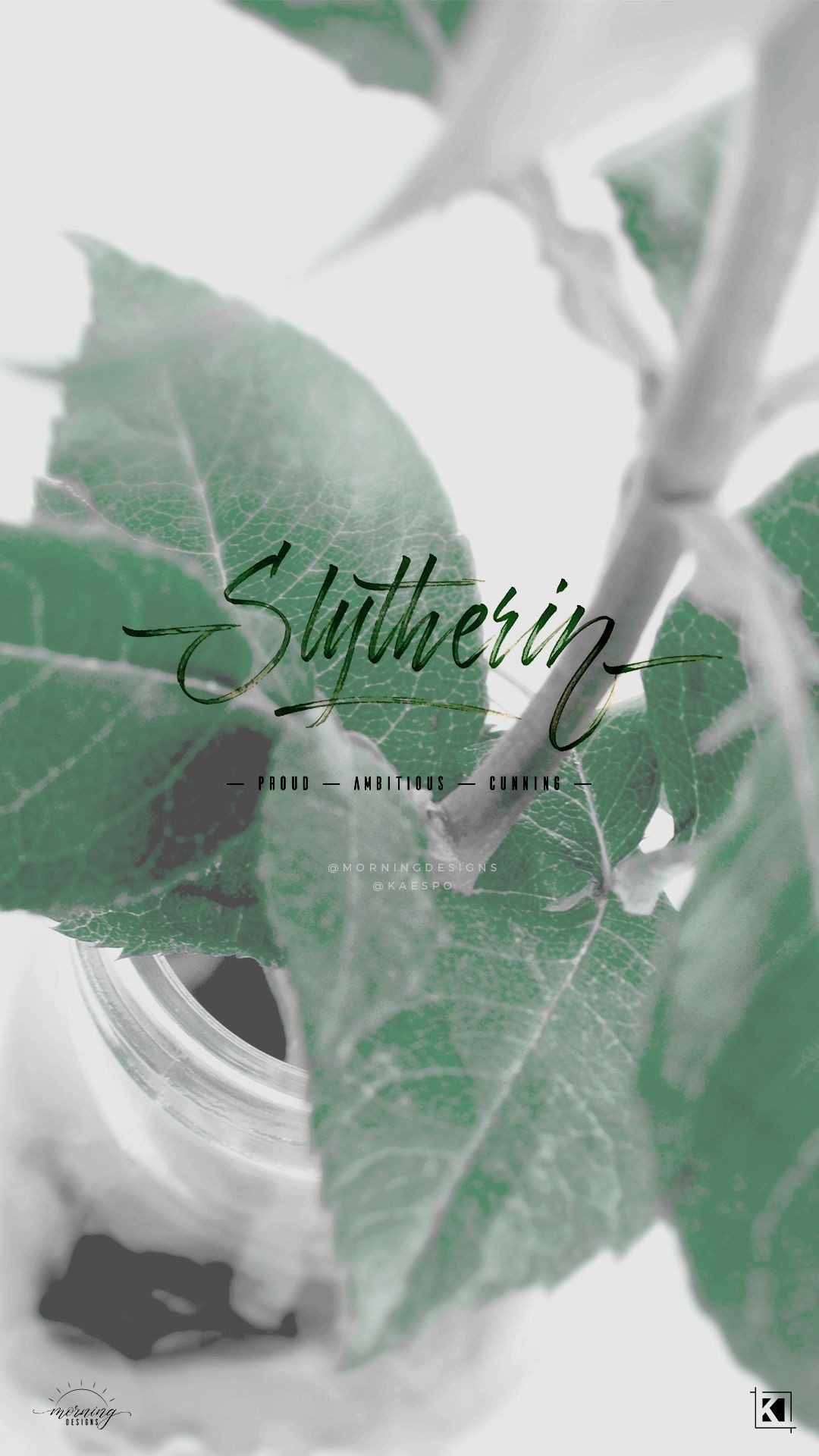 1080x1920 Floral Slytherin Aesthetics Phone Wallpaper Background | Collab by .