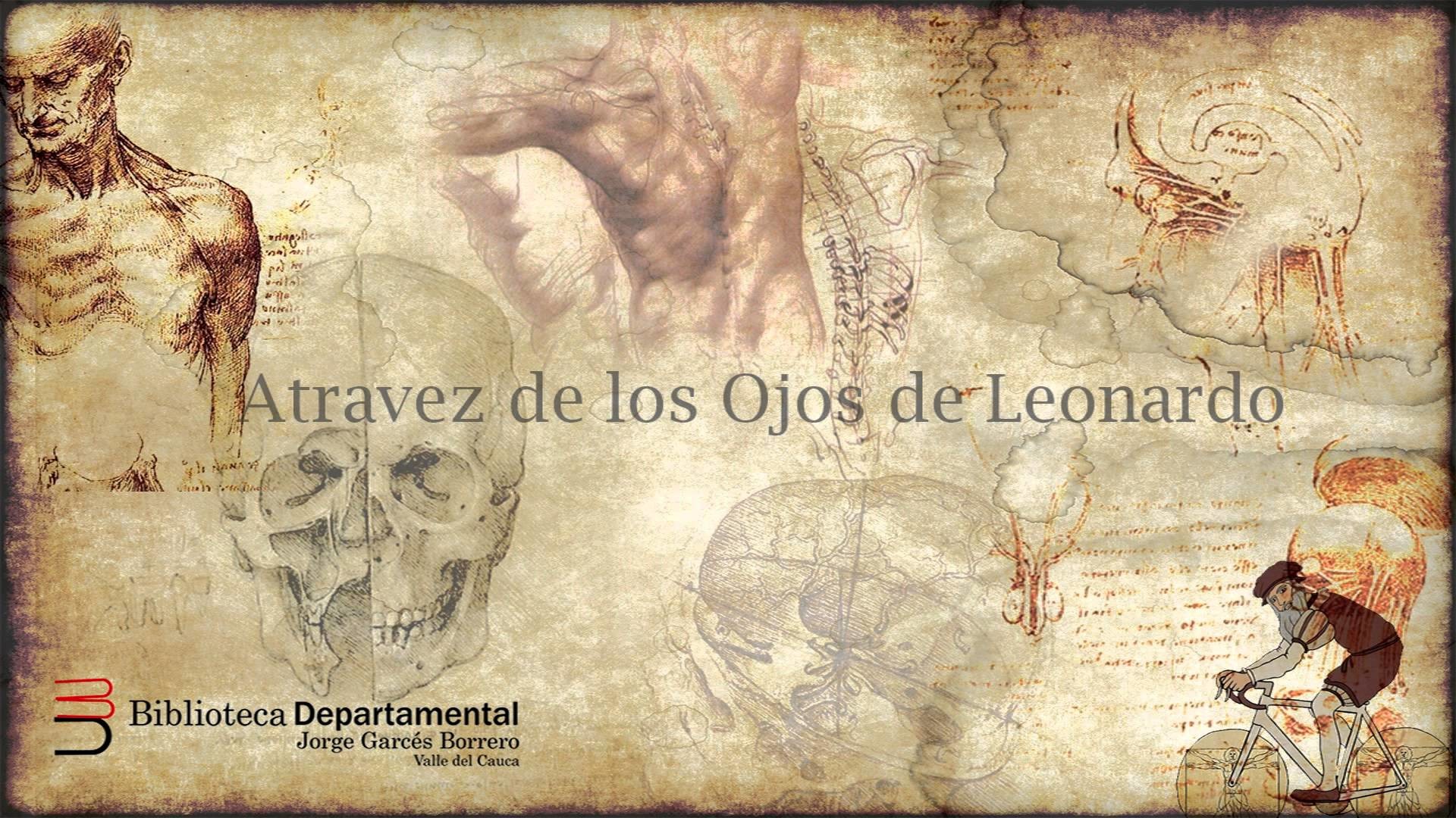 1920x1080 Anatomis Leonardo Da Vinci