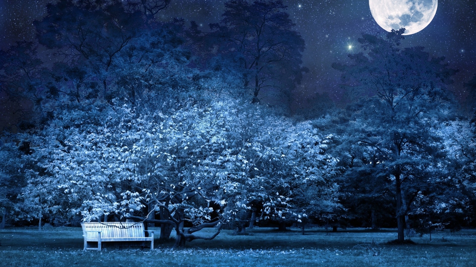 1920x1080 Preview wallpaper night, bench, park, trees, stars, full moon, sky