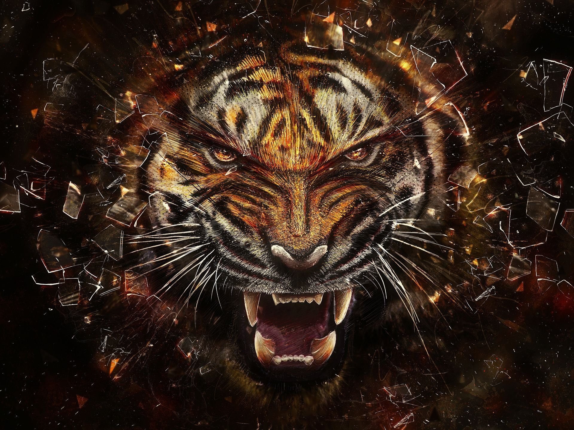 1920x1440 1185 Tiger HD Wallpapers | Backgrounds - Wallpaper Abyss