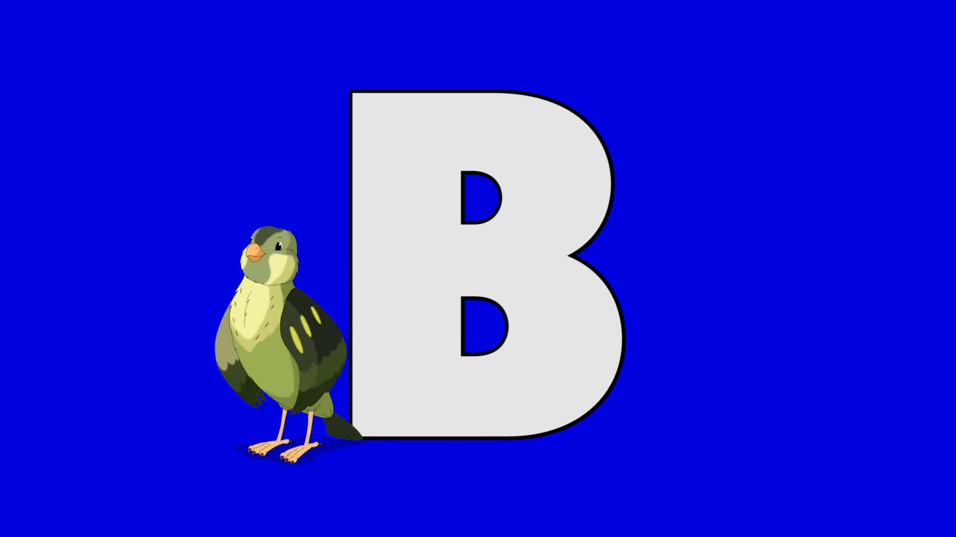 1920x1080 Letter B and Bird (foreground) Animated animal alphabet. Motion graphic  with chroma key. Animal in a foreground of a letter.