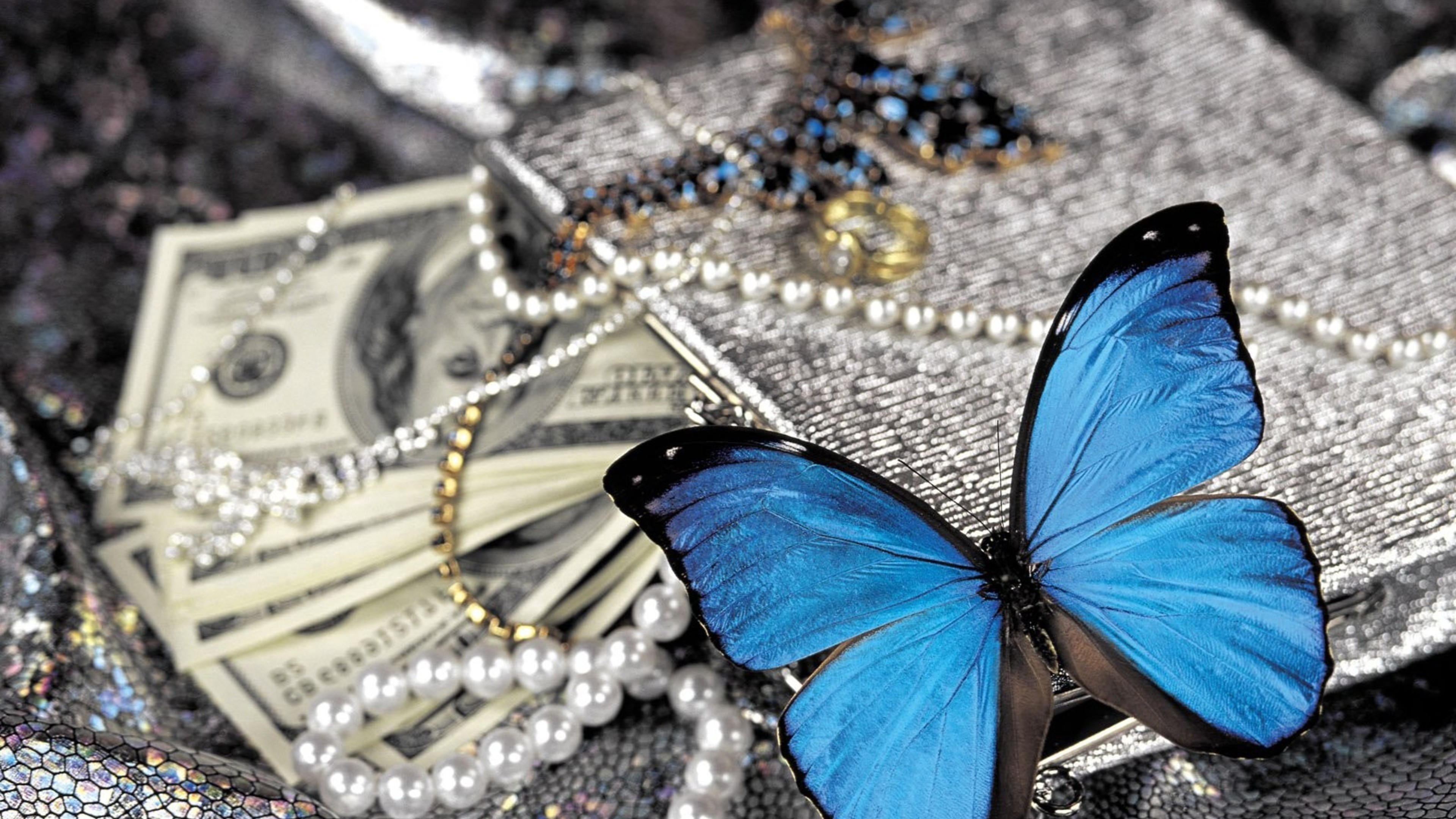 3840x2160 blue-butterfly-on-pearls.jpg