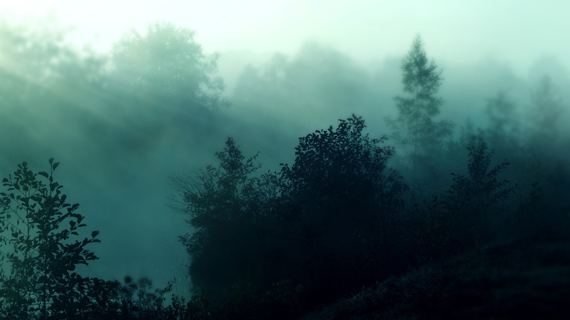 1920x1080 Foggy forest nature hd wallpapers.